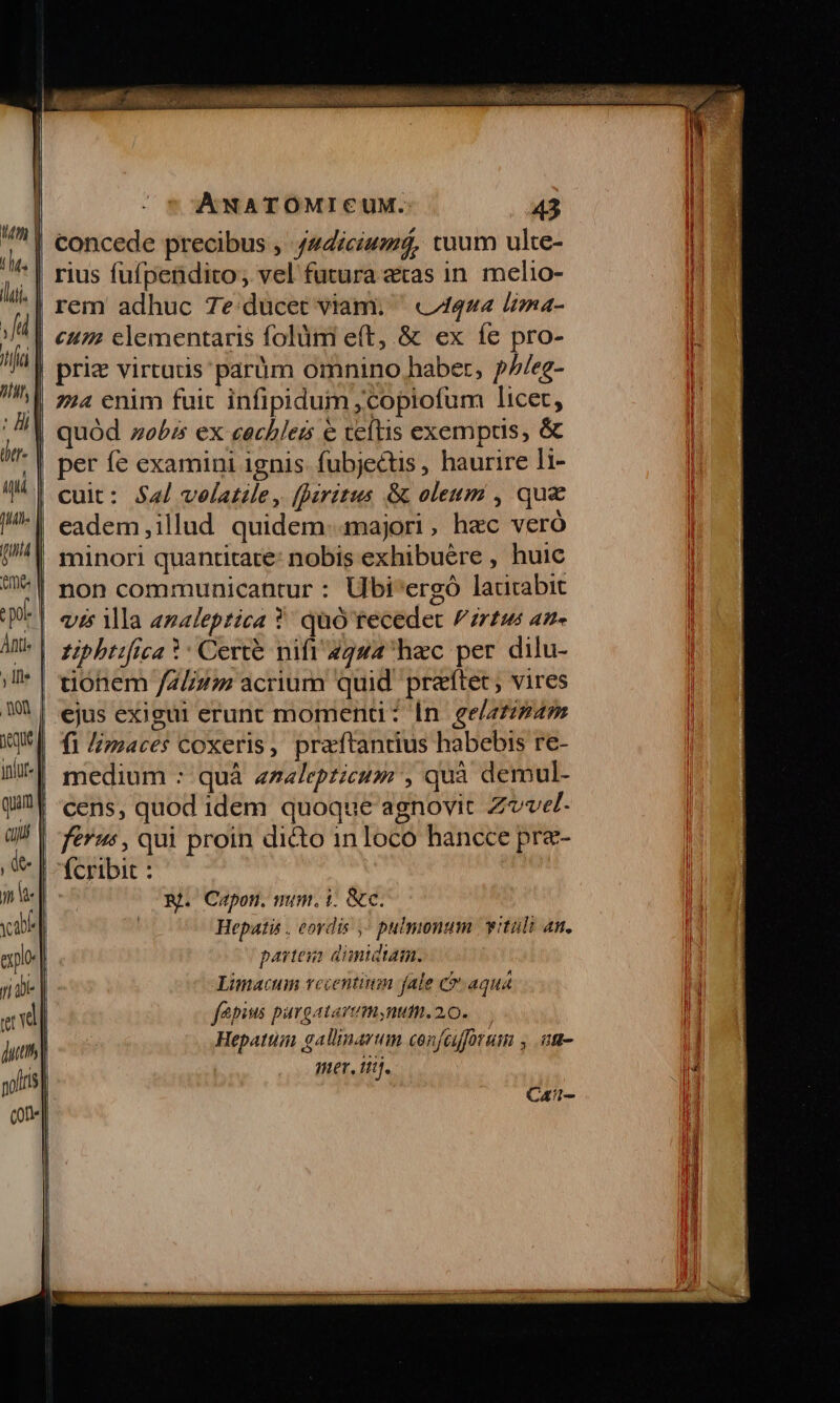 | concede precibus , /44íicium$, tuum ulte- *| rius fufpendito; vel futura atas in. melio- ;| rem adhuc 7e:ducet viam. ^ 4444 lima- || eu elementaris folüm e(t, &amp; ex íe pro- | priz virtutis parüm omnino haber, p//eg- || zz4 enim fuic infipidum jcopiofum licet, | quód »ebis ex cachlez e tettis exemptis, &amp; || per fe examini ignis. fubjectis, haurire li- cuit: $a velatile , [Daritus &amp; oleum , qua eadem,illud quidem..majori, hec veró | minori quantitate: nobis exhibuére , huic :| non communicantur : Ubi'ergó ladtabic | ves ila analeptica ?: quó tecedet /zrtus an- '| £pbtifrca ?: Certe nifi 4224 hac per dilu- duonem /Z//m acrium quid. praftet; vires | ejus exigui erunt momenti: [n gelatzz4m f1 /imaces coxeris, praftantius habebis re- medium : quà az«lepzicum , quà demul- | cens, quod idem quoque agnovit Zvve- | fé, qui proin di&amp;o in loco hancce pre- | fcribit : RA. Capon. mim. t. &amp;c. Hepatis , eordis ,- pulmonum vitüli an. partesa: dimidtam. Limacum veventium fale C aqua fépius pargatavim,nutn.20.— Hepatum gallinarum confafftum , .in- mer, tij. Ca-