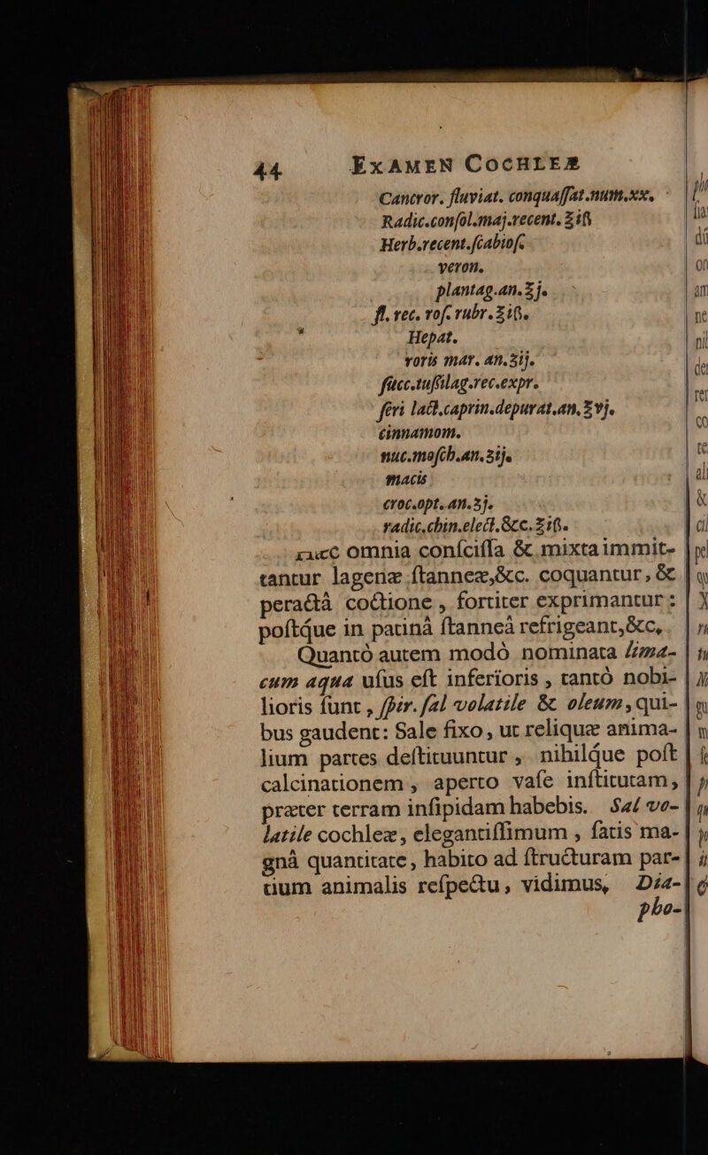 ExAMEN COocHrEAZ ] Cantror. fluviat. conquaffat.num.xs, ^ | k í Radic.con[ol.maj.recent. Zifi li Herb.recent.fcabipf. Qi yeron. eli plantag.an. £j. ! am fl rec. vof rubr. its. ne L] Hepat. nil voris mat. 4hn.5ij. de fitcc-tuffilag.rec.expr. feri lact.caprin.depurat.an, Evj. t&amp;nnamonm. nuc.mofcb.an. 3i). 9mActó. £r0C.0pt. An.5j. radic.chin.elect.Scc.Z 10. l ci rcc omnia coníciffa &amp; mixta immit- |» untur lagena ftannez,&amp;c. coquantur , &amp; | q pera&amp;tà co&amp;tione , fortiter exprimantur: | X poítque in pariná ftanneà refrigeant,&amp;c,. | ;; Quantó autem modó nominata /a- | f eum aqua uíus eft inferioris , tantó nobr- | j lioris funt , /fzr. fal velatile &amp; oleum , qui- | bus gaudent: Sale fixo, ur relique anima- | lium partes deftituuntur ,. nihiljue poft | caleinationem , aperto vafe inftitutam, | prater terram infipidam habebis. | $4/ ve-. latile cochlez , eleganciffimum , fatis ma- | gná quantitate , habito ad ftru&amp;turam par-| dum animalis reípe&amp;u, vidimus, — Dza-| poe-|