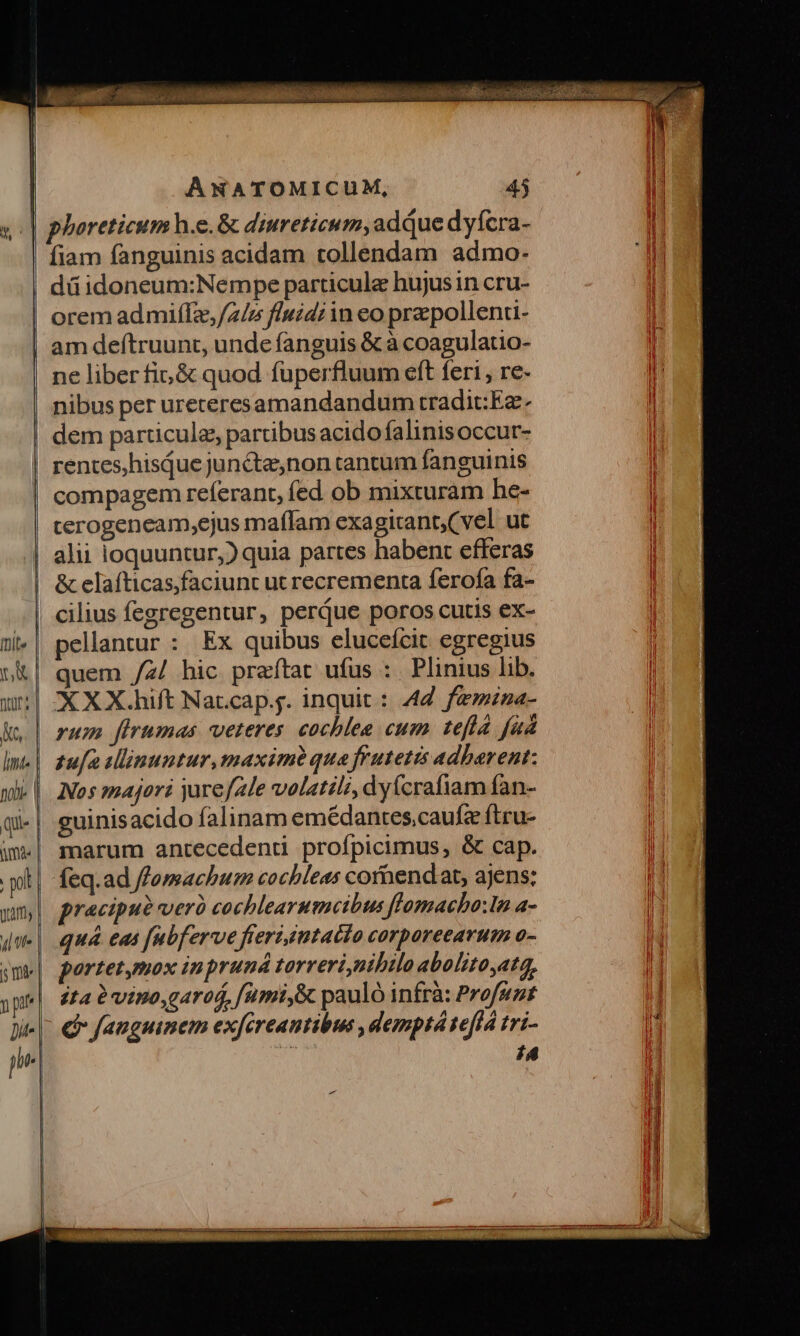 fiam fanguinis acidam tollendam admo- dü idoneum:Nempe particula hujusin cru- orem admifTz,/z/z fluidz in eo pra pollenti- ne liber fi, &amp; quod fuperfluum eft feri , re- nibus per ureteresamandandum tradit:Ez dem particules, partibus acido falinisoccur- renteshisque jun&amp;te,non cantum fanguinis compagem referant, (ed ob mixturam he- terogeneam,ejus maffam exagirant,(vel ut alii loquuntur,) quia partes habent efferas &amp; elafticas,faciunt ut recrementa ferofa fa- cilius fegregentur, perque poros cutis ex- pellantur : Ex quibus eluceícit egregius quem /z/ hic preítat ufus : Plinius lib. XXX.hift Natcap.g. inquit : 44. femina- rum firumas veteres cochlea cum. tefta fud zu[a illinuntur,maximà qua frutetis adharent: Nos majori jarefale volatili, dyícrafiam fan- guinisacido falinam emédantes.caufz ftru- marum antecedenu proípicimus, &amp; cap. feq.ad ffomachum cocbleas comendat, ajens; quá eas fubferve fierisntaito corpareearum o- portetymox inprund tarreri,nibilo abolitoyata, ita 0vino,carod, fumiy&amp; pauló infrà: Profuzt (d fanguinem exfcreantibus ,demptá tefíá tri- T 18