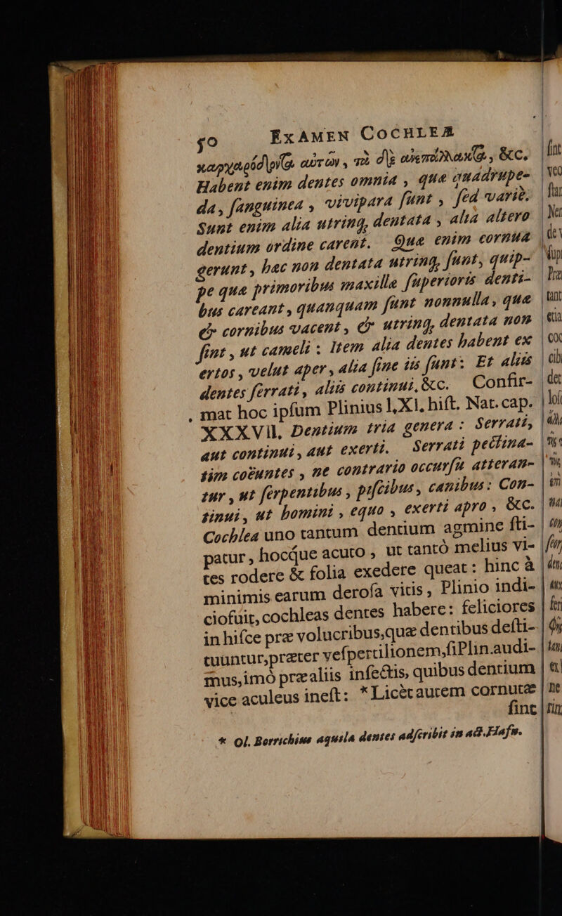 $9 ' cuüntur;pr YQ ftu (afit )4À HI 5C(—— | den | uy | fer |o ha finc |i