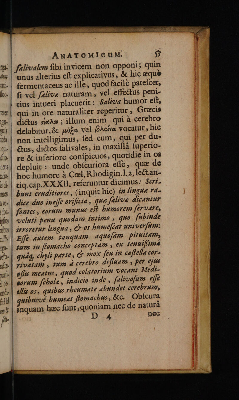 (un fffie | (o. ter | pu. toi. Wa Qu | Quo. | nns | ae lj di- ne iQ for. | yi tibus | fille | 2e | jelt- nde. yd | dee | onde frag mi P ANATOMICUM. $ unus alterius eft explicativus, &amp; hic eque fermentaceus ac ille, quod facil&amp; pateícet, fi vel /alive naturam , vel effeQus peni- qui in ore naturaliter reperitur , Gracis di&amp;us c/»&amp;^o ; illum enim | qui à cerebro delabitur, &amp; pa vel BAchia, vocatur , hic non intelligimus, fed eum, qui per du- &amp;us, dictos falivales, in maxillà fuperio- re &amp; inferiore confpicuos, quotidie in os depluit : unde obícuriora effe, que de hoc humore à Col, R hodigin.], 2, lect.an- tiq. cap.X X XII, referuntur dicimus: $erz. bunt eruditiores , (ànquit hic) 22 £zgue r4- dice duo ine[fe orificta , que faliva dicantur füntes , corum munus eit humorem fervare, veluti penu quodam intimo , quo fubinde irroretur lingua , c os humefcat univerfam. Effe autem. tanquam aquofam | pituitam, zum in flomacho conceptam , ex tenuif'umá quág, chyli parte , Qo mox feu im caffella cor-