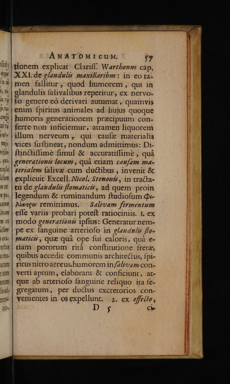 tionem explicat Clariff. Warzbenzs cap. | AXI. de g/eegulis zmaxillaribus: in eo ta- men fallitur; quod humorem , qui in glandulis falivalibus reperitur, ex nervo- | fo genere eó derivari autumat , quamvis enim fpiritus :animales ad. hujus quoque humoris generationem praecipuum con- ! | ferre non inficiemur, attamen liquorem lum nerveum , qui cauíz marerialis vices fuftineat, nondum admittimus: Di- ftinciffime fimul &amp; | accuratiffimé , quà ' | generationis locum , quà etiam. eeuam ma- zerialem íalive cum ductibus , invenit &amp; | explicuit Excell. Nzeel. $£enonts , in tracta- tu de glazdulis flomaticis, ad quem proin legendum &amp; ruminandum ftudiofum q- Maceo remittimus. ^ S4lvam fermentum efle variis probari poteft ratiociniis. I. ex | modo generationis ipfius: Generatur nem- pe ex fanguine arteriofo in elazdnlzs ffo- | maticts, que quà ope fui caloris, quà e- e| riam pororum rità conftitudione freta, om« | quibus accedit communis architectus, fpi- wm | ritus nitroaéreushumorem 1n/Z/vazz con- 'üm | verti aptum, elaborant &amp; conficiunt, at- um | que ab arteriofo fanguine reliquo ira íe- |j. | gregatum,. per du&amp;tus excretorios con- ti | venientes in os expellunt. 2. €x effecto ,