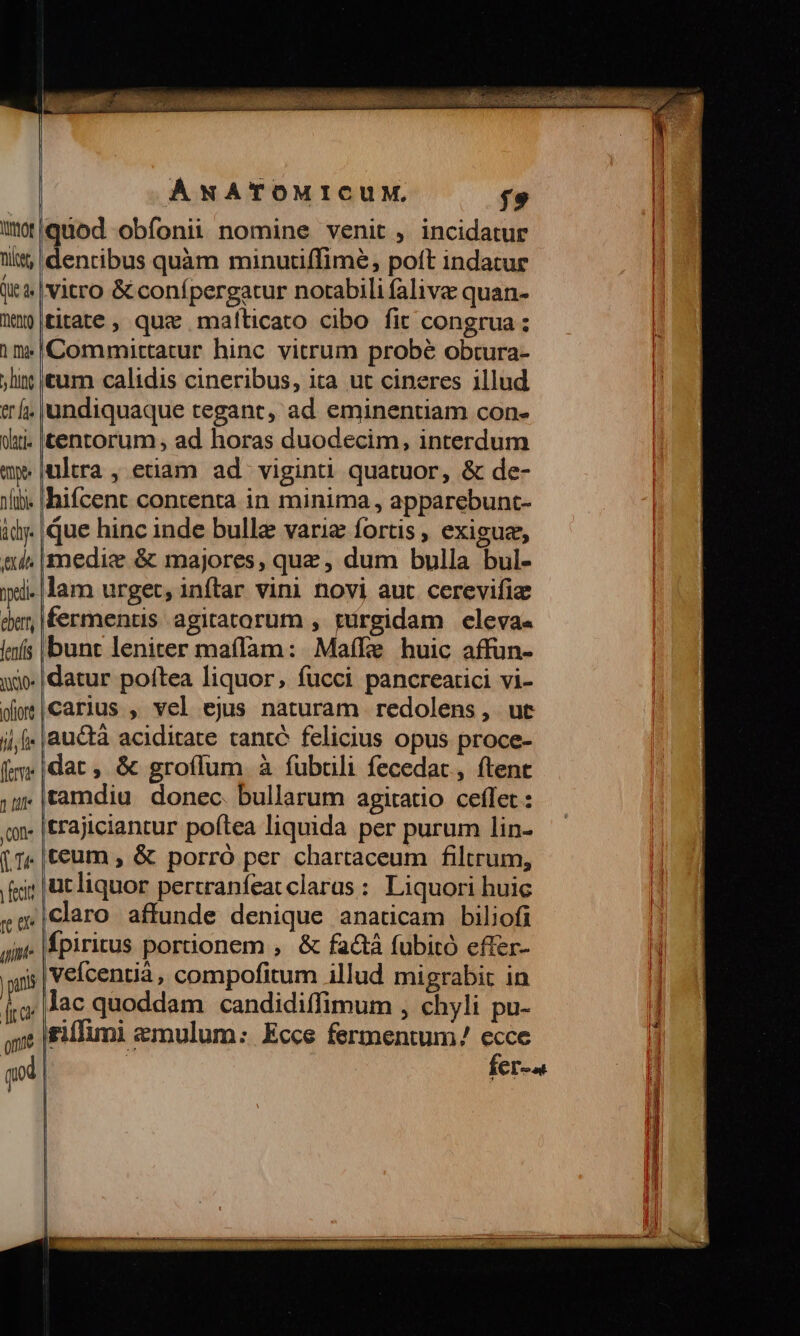 umor nitet, Que 4 mento 1 m y lint er Ía- ohati« me nubi dy. xd bpetie eberr, fenfis yo. fiore il e [lerne 1 luf (on WU fecit re Qv t | pans dicet one ÁNATOMICUM, f. quod obíonii nomine venit , incidatur dentibus quàm minuuflime, poft indatur vitro &amp; conípergatur notabili faliva quan- titate, que maíticato cibo fit congrua ; Committatur hinc vitrum probé obtura- tum calidis cineribus, ita ut cineres illud undiquaque regant, ad eminentiam con- tentorum ad horas duodecim, interdum iultra , etiam ad viginti quatuor, &amp; de- hiícent contenta in minima , apparebunt- que hinc inde bulla variz fortis , exiguz, medie &amp; majores, quz , dum bulla bul- lam urget, inftar vini novi auc cerevifiz fermentis agitatorum , türgidam eleva bunt leniter maílam: Maíke huic affun- datur poítea liquor, fucci pancreatici vi- carius , vel ejus naturam redolens, ut auctà aciditate tantó felicius opus proce- dat, &amp; groílum à fubrili fecedat., ftenc tamdiu donec. bullarum agitatio ceflet : trajiciantur poftea liquida per purum lin- tecum , &amp; porró per chartaceum filtrum, iutliquor pertranfeat claras : Liquori huic claro affunde denique anaticam biliofi Ípiritus portionem , &amp; factà fubitó effer- veícentià, compofitum illud migrabit in lac quoddam candidiffimum , chyli pu- gifimi zmulum: Ecce fermentum/ ecce fer-