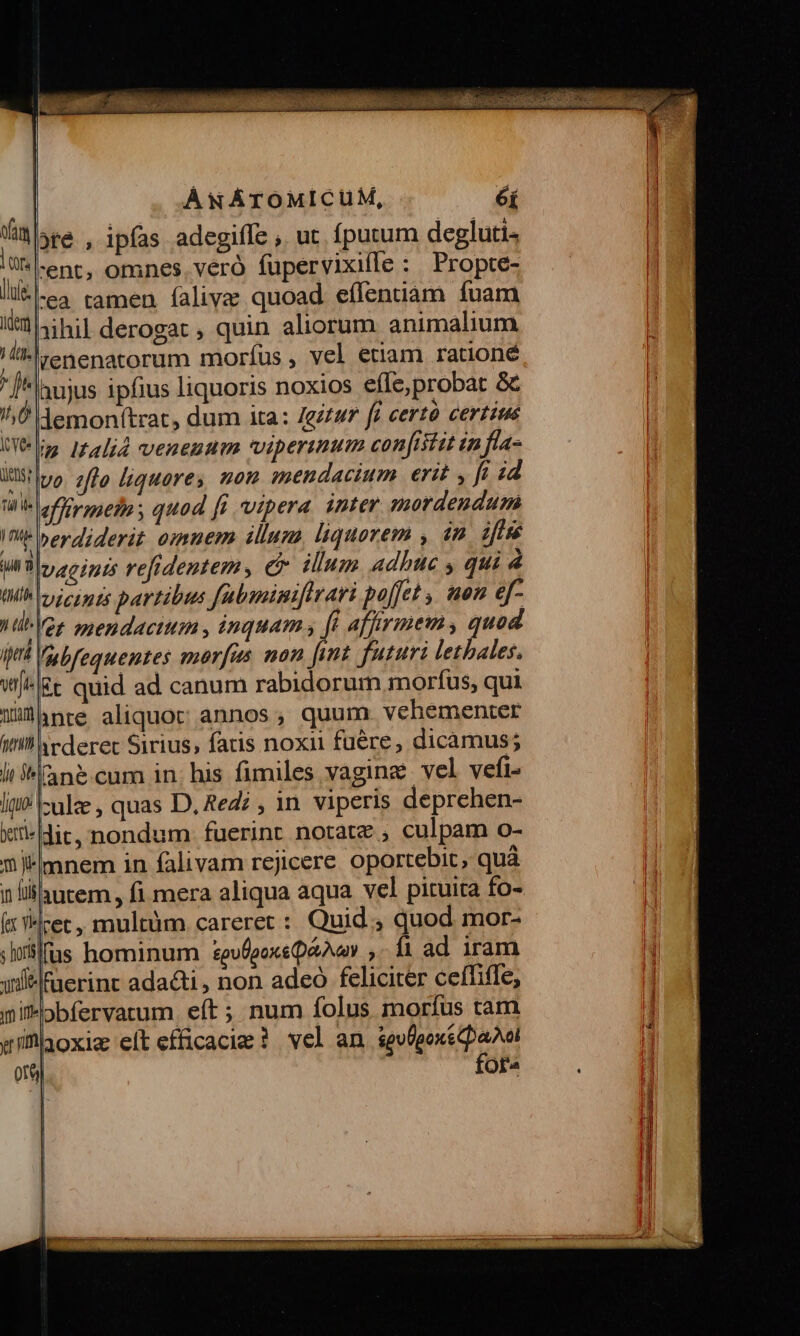 ofamg | yrs Jule. iens? Tii e ) De T : tto J (lb ipi verfi mriart trim lit jh [quos berti» m yr jn f fer vh | ÁwWNÁTOMICUM, éí ye , ipfas adegiffe , ut. fputum degluti- ent, omnes, véró fupervixille : Propte- :ea tamen fíaliva quoad eífentiam fuam jihil derogat , quin aliorum animalium hujus ipfius liquoris noxios effe,probat &amp; vo. flo liquores non mendacium erit , ff ;d flirmetn , quod fi vipera inter mordendum »erdiderit omnem illum, liquorem , in. ifie vicints partibus fubminift ari poffet , uou ef- &amp;t quid ad canum rabidorum morfus, qui inte aliquoc; annos , quum. vehementer irderet Sirius, fatis noxii fuére , dicamus; anécum in: his fimiles vagine vel vefi- :ulz , quas D, £edi , in. viperis deprehen- dict, nondum fuerint notate , culpam o- mnem in falivam rejicere. oportebit, quà autem, fi mera aliqua aqua vel pituita fo- rec, multum careret : Quid , quod mor- ioxiz elt efficaci ?. vel an. sevigexé aul for«