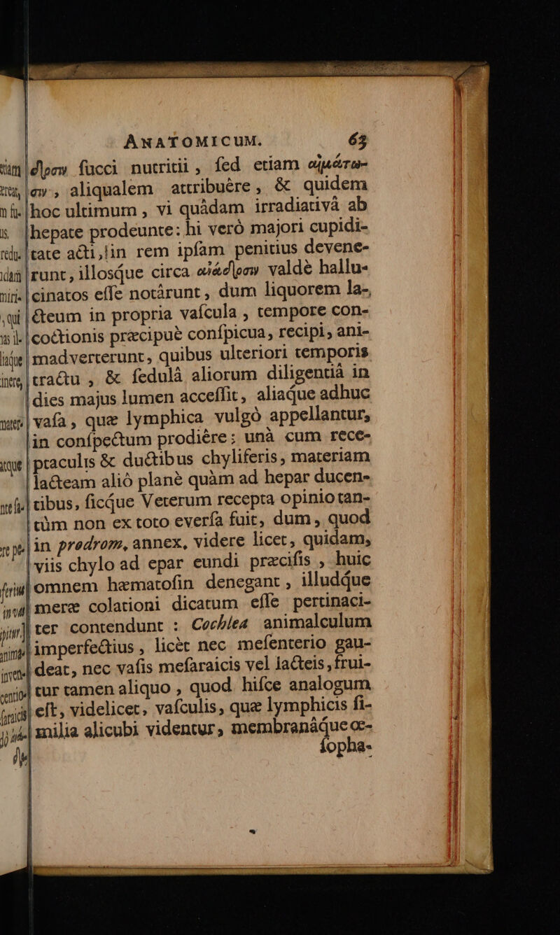 tmt Ma, n fi. r5 redu. dA Tilf]s d ws i ique tutt iue net ANATOMICUM. 63 dies fücci nutriti, fed etiam ejuéra- cw, aliqualem attribuére, &amp; quidem hoc ultimum , vi quàdam irradiativá ab hepate prodeunte: hi veró majori cupidi- tate acti,lin rem ipfam penitius devene- runt, illosque circa ei&amp;d|omw valdé hallu- cinatos effe notárunt , dum liquorem la-, &amp;eum in propria vaícula , tempore con- coctionis praecipue conípicua, recipi, ani- madverterunt, quibus ulteriori temporis cacu , &amp; fedulà aliorum diligentià in dies majus lumen acceífit, aliaque adhuc vafa, que lymphica vulgó appellantur, la&amp;eam alió plané quàm ad hepar ducen- cibus, ficque Veterum recepta opinio tan- Íopha-