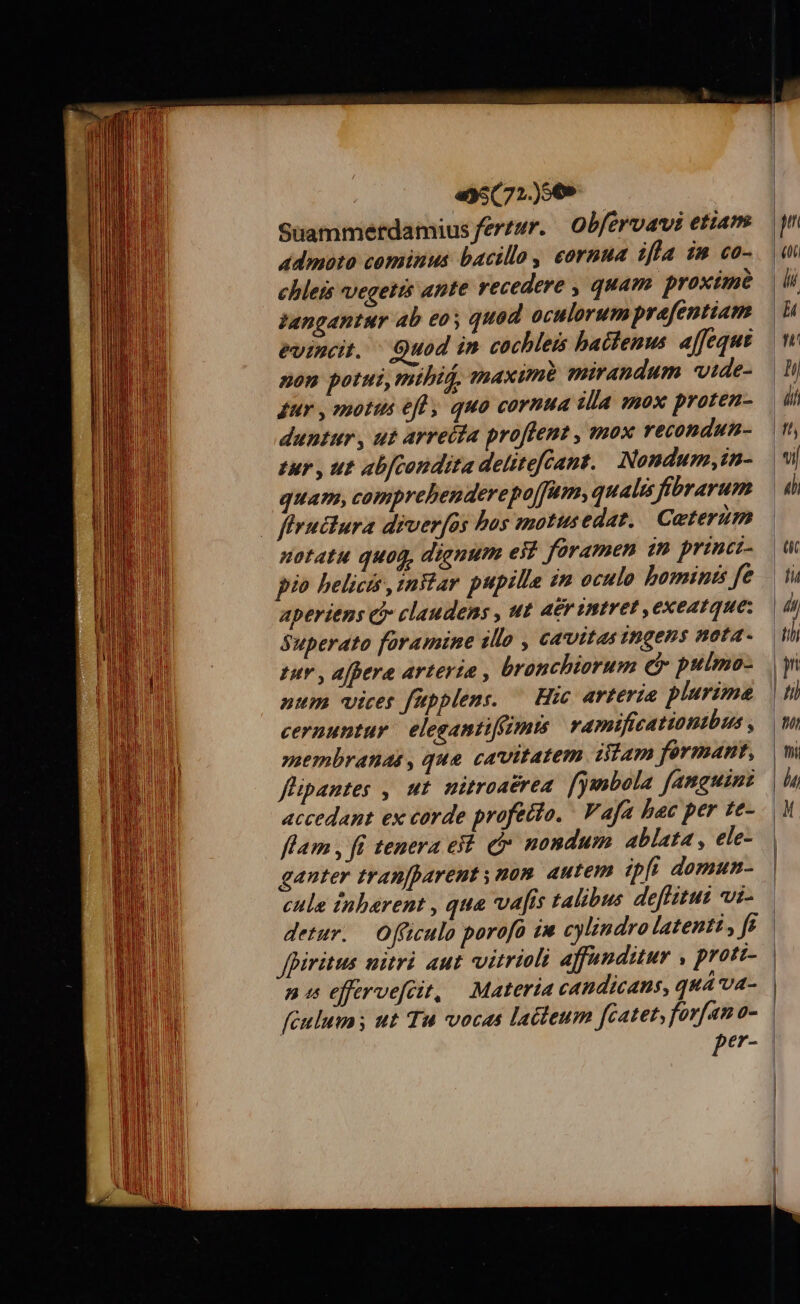 «»;(721)909 — Suammetdamius ferzur. | Obférvavi etiam admoto cominus bacillo cornua ifla 2m co- chleis vegetis ante recedere , quam proxime sangantur ab eos quod oculorum prafentiam Poincit. Quod in cochleis batlenus. affequi nom potus, mthi. maxunt mirandum vide- ur , motis efl, quo cornua illa mox proten- duntur , uz arreéta proffent , mox recondun- zur , ut abfcondita delitefCant. Nondum, in- quam, comprebenderepojfum, qualis Jfbrarum - fhruciura diverfos bas motusedar. Ceterum notatu quod, dignum ei? foramen tn princi- pio belicis znWtar pupilla zn oculo bominis fe aperiens ec claudens , ut AEr InITEL , exeatque: Superato foramine illo , cavitas ingens neota- tur , afpere arterta , bronchiorum c pulmo- num vices fipplens. — Hic arteria plurime cernuntur | elegantifizmts ramificationtbus , »sembranas , que cavitatem ttam férmant, flipantes , ut mitroacrea. [ymbola fanguin accedant ex corde profetio. - Vafa bac per te- 4m , [i tenera ed. i nondum ablata , ele- ganter tranpparent nom. autem ipfi domun- cule inberent , qua vafis talibus deffitus ut- detur. fpiritus nitri aut vitrioli affenditur , prori- n5 effrveféit, Materia candicans, quá va- féuluma s ut Tu vocas latteum fcatet, forfan o- P*t?-