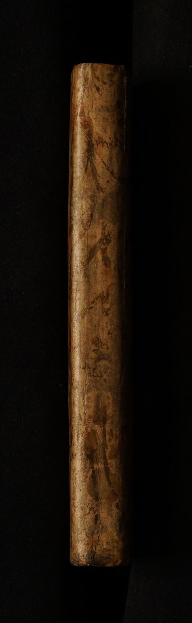 No text description is available for this image