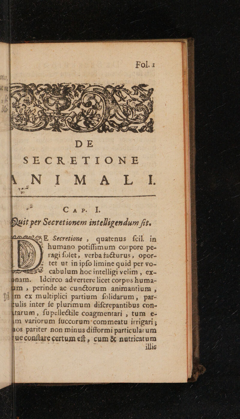 Dust per Secretionem intelligendum fit. «G5 E. Secretione , quatenus fcil in E humano potiffimum corpore pe- ragifolet, verbafacturus, opor- 7/7. tet ut inipfo limine quid per vo- 29 cabulum hoc intelligi velim , ex- pnam. ldcirco advertere licet corpus huma- Bim , perinde ac cunctorum animantium , |fm ex multiplici partium folidarum, par- gulis inter fe plurimum difcrepantibus con- jtarum , fupclle&amp;ile coagmentari ;, tum e- im variorum fuccorum:commeatu irrigari ; IRos pariter non minus difformi particulacum jueconítare certum eff, cum &amp; sedit ir illis j|