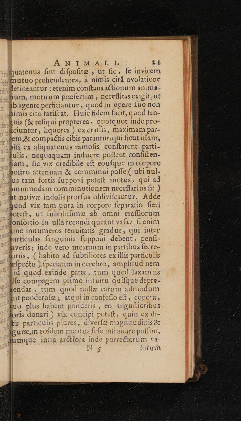 fjuatenus fint difpofite , ut fic, fe invicem mutuo prehendentes, à nimis citá avolatiope Wetineantur : etenim conftans actionum anima- ftum, motuum przlertim , neceffitas exigit, ut Ib agente perficiantur , quod in opere fuo non imis cito fatifcat. Huic fidem facit, quod fan- ;,Ikuis (&amp; reliqui propterea, quotquot inde pro- ciuntur, liquores ) ex craíflis, maximam par ;fem,&amp; compactis cibis parantur;qui ficut iftam, .Bifi ex aliquatenus ramofis conftarent parti- &amp;ulis , Bggequam induere poflent confiften- Bam, fic vix credibile eft eouífque in corpore Boítro attenuari &amp; comminui poffe ( ubi nul- * fus tam fortis fupponi poteft motus, qui ad Pmnim xiodam comminutionem ne :ceffarius fit ) t nativz indolis prorfus oblivifcantur. Adde guod vix tam pura in corpore feparatio fieri Moteft, ut fubtliffimz ab ommni craffiorum Wonfortio 1n ulla recondi uudint vaía: fienim Minc innumeros tenuitatis gradus, qui inter Barticulas fanguinis fupponi debent, peufi- dRveris; inde VELO TRE UTA in partibus De: priis , ( habito ad fubtiliores ex illis p particulis lipípectu ) fpeciatim in ub UA, amplitudinem did quod exitüde pate;, tum quod laxam us Mc compagem primo intuitu quifque depre- llenda: , tum quod nulle earum admodum lint ponderoíz ; atqui in confeflo eft, copora, fuo plus habe nt ponderis , eo anguftioribus loris donari ) vix concipi poet. quin. ex di- dts particulis plures, « liverfze rnagnitudinis &amp; ' Jgurz;in eoídem meat us Ícfe infinuare poflint, dumque intra arctio;a inde ! | Ns forum
