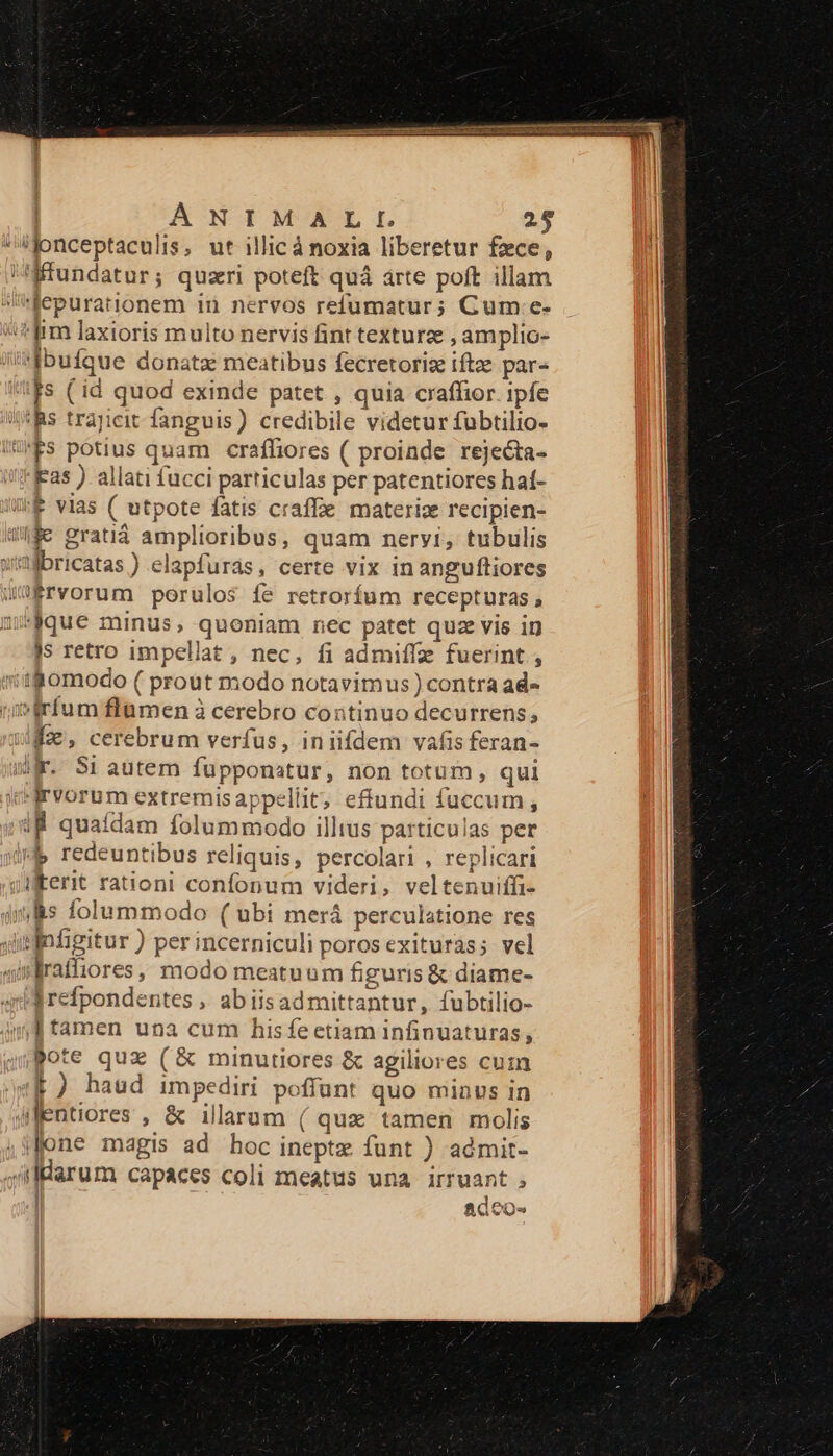 4onceptaculis, ut illicá noxia liberetur fece, fundatur; quzri poteft quà arte poft illam 'fepurationem iií nervos refumatur; Cum.:e- fim laxioris multo nervis fint texturze , amplio- fbufque donata meatibus fecretoris iftz par- Js (id quod exinde patet , quia craffior. ipfe Bs trajicit fanguis) credibile videtur fubtilto- Us potius quam craffiores ( proinde rejecta- Fas ) allati fucci particulas per patentiores haí- 'f vias ( utpote fatis craffe materiz recipien- $e gratiá amplioribus, quam nervi, tubulis wmibricatas ) elapfurás, certe vix inangufliores uafrvorum porulos fe retrorfum recepturas , isque minus, quoniam nec patet quze vis in Js retro impellat, nec, fi admiffz fuerint ; migomodo ( prout modo notavimus ) contra ad- »frífum flamen à cerebro continuo decurrens, um, cerebrum verfus, iniifdem vafis feran- Wl. Si autem fupponatur, non totum , qui qrvorum extremisappellit; efftundi fuccum, iR quaídam folummodo illus particulas per MP redeuntibus reliquis, percolari , replicari iferit rationi confonum videri, veltenuiffi- is folummodo ( ubi merá perculatione res iinfigitur ) per incerniculi poros exituras; vel alrafliores, modo meatuum figuris &amp; diame- drefpondentes , ab iisad mittantur, fubtilio- [tamen unà cum hisfe etiam infinuaturas, pote quz (&amp; minutiores &amp; agiliores cuin E) haud impediri poffunt quo minvs in ifentiores , &amp; illarum ( qux tamen molis ;ifone magis ad hoc ineptz funt ) admit- JiBarum capaces coli meatus una. irruant AQ OO»