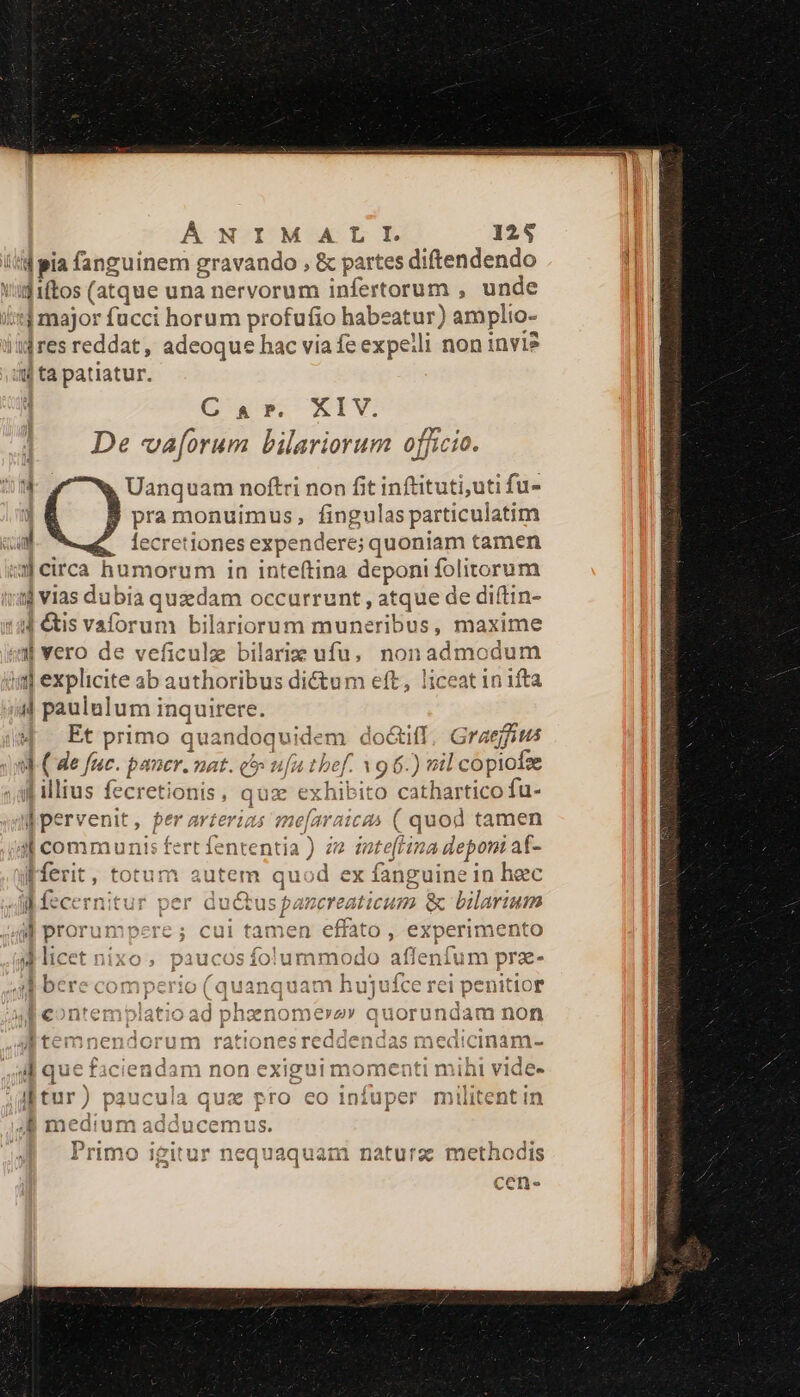 d pia fanguinem gravando , &amp; partes diftendendo d1(tos (atque una nervorum infertorum , unde it] major fucci horum profufio habeatur) amplio- ijres reddat, adeoque hac via fe expelli non invi? 4j ta patiatur. C &amp; ». XIV. ; . y De va[orum bilariorum officio. JJ 4 Uanquam noftri non fit inftituti,uti fu- j pra monuimus, fingulasparticulatim ca lecretiones expendere; quoniam tamen wcirca humorum in inte(tina deponi folitorum ij vias dubia quzdam occurrunt , atque de diftin- 44 &amp;is vaforum bilariorum muneribus, maxime «x vero de veficulz bilariz ufu, nonadmodum ij explicite ab authoribus dictum eft, liceat in ifta ij paululum inquirere. 4 Etprimo quandoquidem dod&amp;tiff. Graejfius 9d ( de fuc. pancr. mat. c5 ufu tbef. 396.) vil copiofze f illius fecretionis, qux exhibito cathartico fu- M pervenit, per arterias me[araicas ( quod tamen il communis fert fententia ) ze zatefrina deponi af- IHerit, tot item quod ex fanguine in hec Ji fecernitur per ductus pazereaticum &amp; bilarium 4M prorumpere; cui tamen effato , experimento Micet nixo, paucosífolummodo affenfum prz- i bere comperio (quanquam hujufce rei penitior i L Ves Lions | uj vv 51 , E MAPEREUN OA USCMPRUC acd og pope ou 4 t p Mes Upur Rag E. PL REA ,scontemobpiatio ad phnxnomeras» auorundam non 4 Á i ] s e promi pop [LR PRteropnendorum rationesreddendas meaicinàm- í H 1 A:vmntero-marisT v: AW queracienaam non exiguirmomenti mint VIdee —€—À : d 3S T EXM (e di sus hdi irimo igitur nequaquain nature; metaoais cene