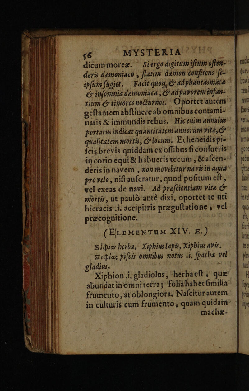 dicummorez. ' Siérgo digitum iftum oflen- ^ deris demoniaco , [latin damon confitens fe- apfumfugiet. — Facit quoq, & ad phantanmata 1 c infonnia detmoniaca , €» ad pavorem infan- tium c timores nodlurnos: | Oportet antem ^ geltantem abftinere ab omnibus contami- natis & immuddisrebus. Hicenim annulus portatw indicat quantitatem annoruu vite c qualitatem mortü , c loctm. Echeneidispi-:: | fcis brevis qniddam ex offibus fi confueris': | incorio equi & habueristecum , & aícen-^ derisin navem , non movebitur navis in aquá provclo , nifi auferatur, quod pofitum eft, vel exeas de navi. Ad pra[cientiam vite & niortis, ut paulo anté dixi, oportet te uti hictacis Je accipitrís przguftatione ; vel pracognitione. (Ei.EMENTUM XIV. x.) xjdior berba, Xipbiuslapis, Xiphius avis. &idplas pifcis omnibus motus «i. [patba. vel gladius. | Xiphion ;i, gladiolus; herbaeft ; quz abundat inomniterras foliàáhabet fimilia féumento, at oblongiora, Nafciturautem in culturis cum frumento, quam quidain: machz- - - c . e c— —ERSÓET Fumo L5 UU PUO MER ce RE 1 irc dis