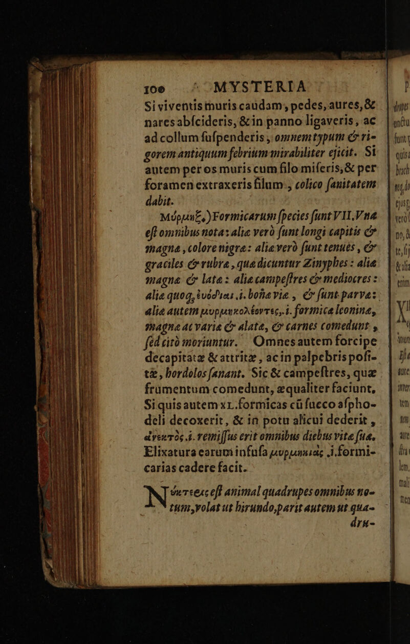 Si viventis muris caudam; pedes, aures, &amp; nares abícideris, &amp; in panno ligaveris, ac ad collum füfpenderis , omnemtypum c ri- gorem antiquum febrium mirabiliter ejicit...Si autem per os muris cum filo miferis,&amp; per foramen extraxeris filum , colico fauitatem dabit. Mópuu£,)Formicarum fpecies funt V1.V na eft omuibus nota: alia ver funt longi capitis c magna ,colorenigre: alieverà funt tenues , c graciles &amp; rubra , quedicuntur Zinyphes : alie magna (C lata: aliecavipeflres &amp; mediocres : alie autem poppukoAtovrec,i. formica lcomna, magna aC varia C alata, C carnes comedunt. , fed cito moriuntur. Omnesautem forcipe t£, bordelos [anant. Sic &amp; campeftres, que frumentum comedunt, equaliter faciunt, Siquisautemxr.formicas cü fucco afpho- deli decoxerit, &amp; in potu alicui dederit , dveuróc 4. rOmi[fus erit omnibus diebus vite fue. Elixatura earum infufa jwpunsiaz .i.formi- carias cadere facit. Nee eff animal quadrupes omnibus ne- ttimi,volat ut birundo,parit autem ut qua- dri- qs ni (ust Ü no, ttl (oli enm