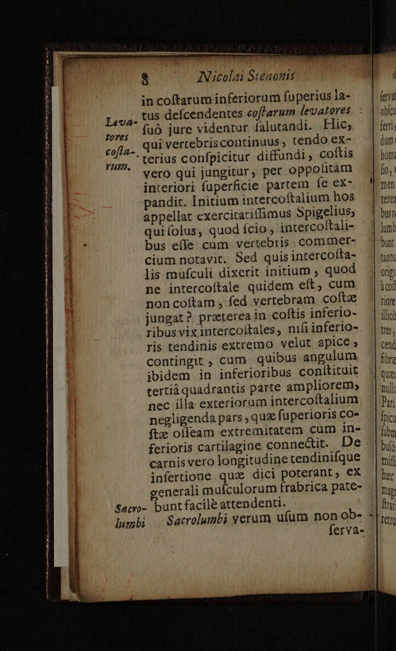 in coftarum inferiorum fuperius ia- tus defícendentes coffarum levatores fuó jure videntur íalutandi. Lic; qui vertebriscontinuus tendo ex- terius confpicitur diffundi ; coítis vero qui jungitur, pet oppolitam interiori fuperficie partem fe ex- pandit. Initium intercoítalium hos appellat cxercitatiffimus Spigelius; quiíolus, quod ício ; intercoftali- - bus e(fe cum vertebris. commet- cium notavit. Sed quis intercofta- lis müfculi dixerit initium ; quod ne intercoítale quidem eft, cum noncoftam , fed vertebram coftz jungat ? praterea in coftis inferio- ribus vix intercoitales ; nifi inferio- ris tendinis extremo velut apice; contingit ; cum. quibus angulum ibidem in inferioribus conítituit tertià quadrantis parte ampliorem; nec illa exteriorum intercoftalium negligenda pars ; quz fuperioris co- ftz offeam extremitatem cum in- ferioris cartilagine connectit. De carnis vero longitudine tendinifque infertione qux dici poterant; ex generali mufculorum frabrica pate- Sacvo- buntfacilé attendent. lumi Sacrolumbi verum ufum non ob- * | ferva- eStore RS itr) itu — € dene eos s VISAS NOI DI t à