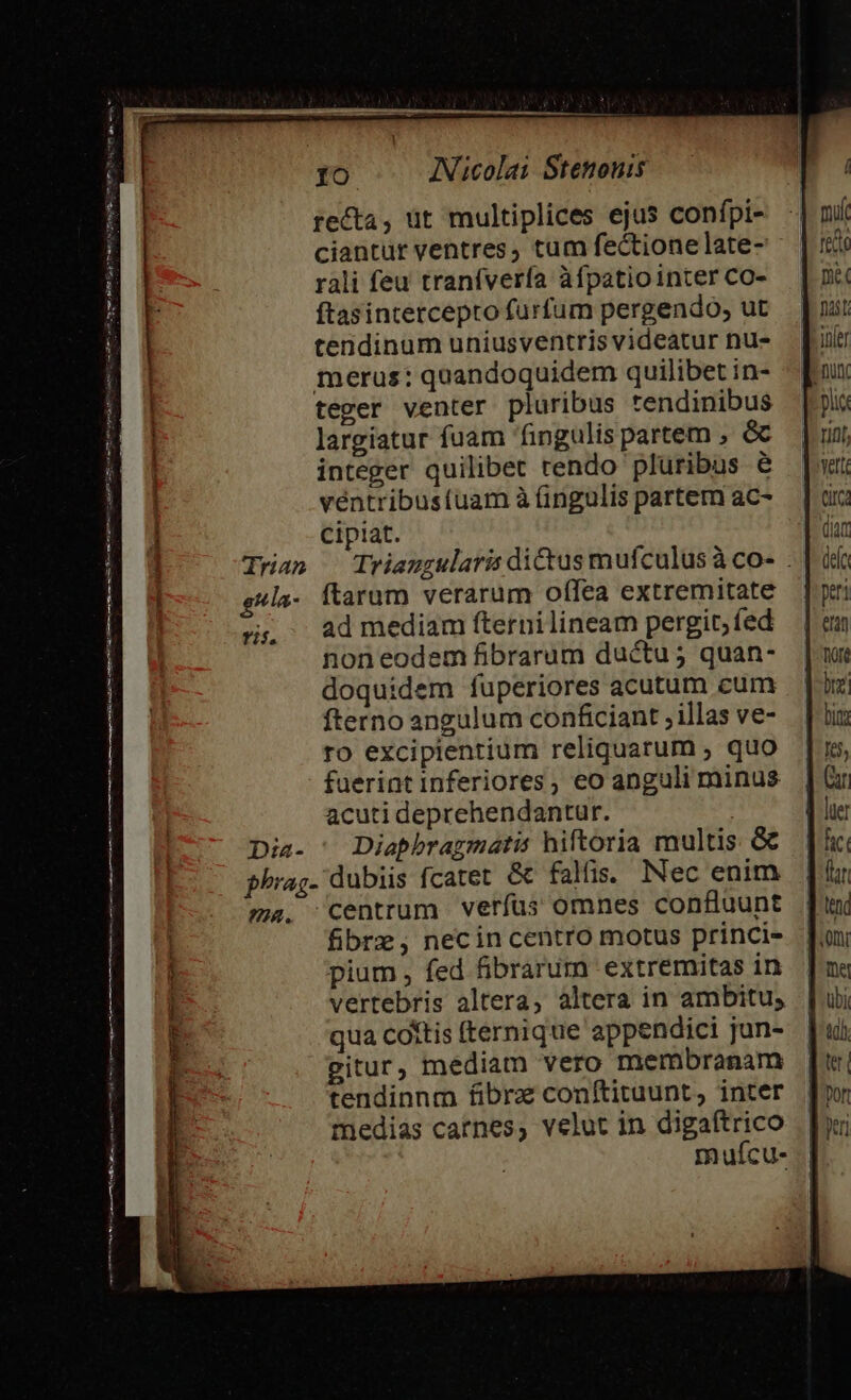 Medus im dn us ttes tM e S m e ATi asm onm mtm —ÉR T cm MerncÜ Morse oW Ege, ENT ro INicolai Stenouis ftasintercepto furfum pergendo, ut tendinum uniusventris videatur nu- merus: qoandoquidem quilibet in- teger venter pluribus tendinibus largiatur fuam fingulis partem , &amp; integer quilibet tendo pluribus e ventribustuam à (ingulis partem ac- cipiat. gula- ftaram verarum ofífea extremitate | ad mediam fternilineam pergit, fed non eodem fibraruam ductu; quan- doquidem fuperiores acutum cum fterno angulum conficiant ; illas ve- ro excipientium reliquarum ; quo fuerint inferiores, eo anguli minus acuti deprehendantur. | Dia- Diaphragmatis hiftoria multis &amp; phrag- dubiis fcatet &amp; falis. Nec enim ma. centrum verfus omnes confluunt fibrz ; necin centro motus princi- pium , fed fibrarum extremitas in vertebris altera, altera in ambitu; qua cottis (ternique appendici jun- gitur, mediam vero membranam tendinnm fibrz conftituunt, inter medias carnes, velut in digaftrico muícu- T$. iOler Cic (iat dele peri eran ane bin fef, Gr fr