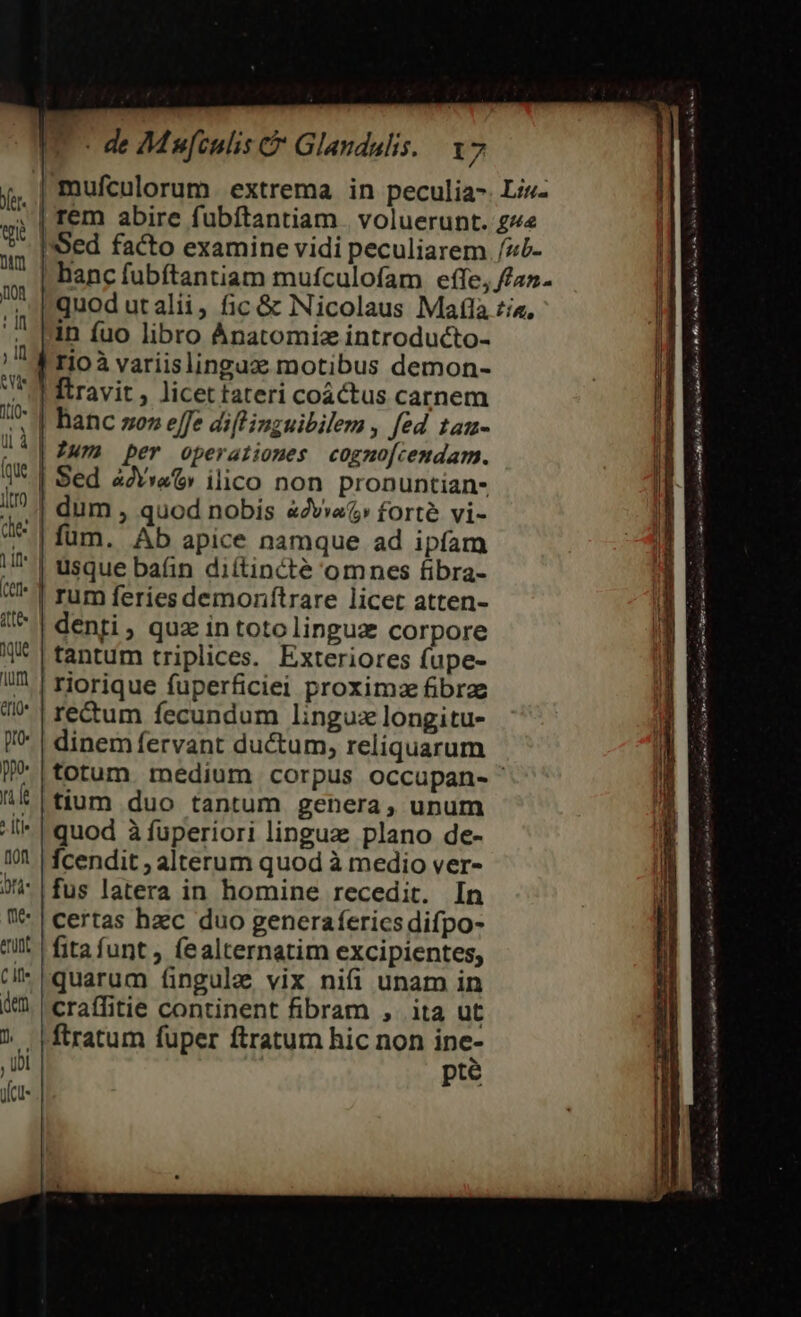 ] l | | in fuo libro Anatomiz introducto- rio à variislinguz motibus demon- [travit, licettateri coáctus carnem hanc no» effe diflinzuibilem , fed tam- Iur» per operaiiomes cogno[cemdam. Sed a2vwa» ilico non pronuntian- dum , quod nobis &amp;Zv»a forté vi- füm. Ab apice namque ad ipfam usque baíin diítincté omnes &amp;bra- rum feries demonftrare licet atten- denti, quz in totolingua corpore tantum triplices. Exteriores fupe- riorique fuperficiei proximz fibrzz re&amp;um fecundum lingux longitu- dinem fervant ductum, reliquarum tium duo tantum genera, unum quod à fuperiori linguz; plano de- Ícendit ; alterum quod à medio ver- fus latera in homine recedit. In certas hzc duo generaferics difpo- fita funt ; fealternatim excipientes, quarum fingule vix nifi unam in craffitie continent fibram , ita ut ftratum fuper ftratum hic non ine- pte ! * Pa Üreosr9m v TII rosam ftn Rois Jo tham Uo p BÉ Hec B Nm. Vet (4€ à r