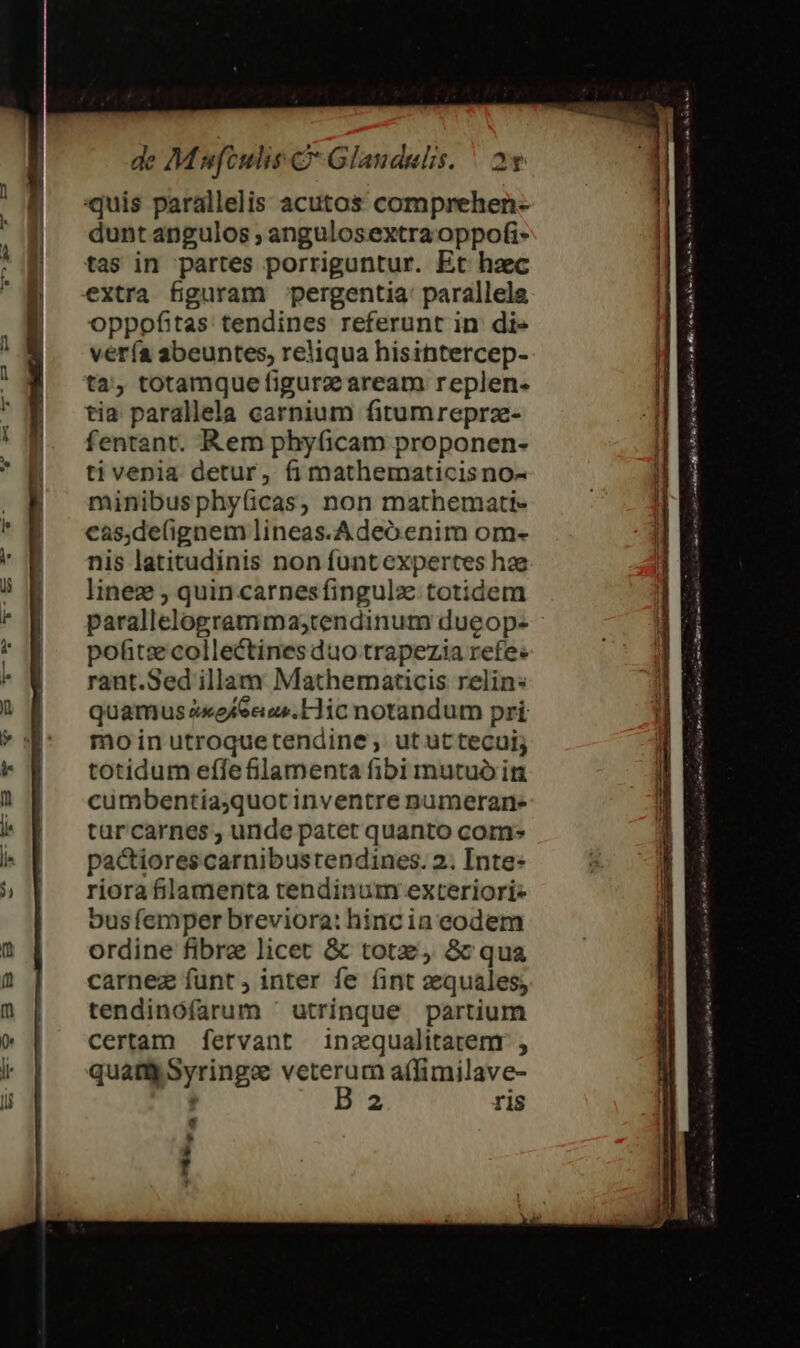 quis parallelis acutos comprehen- dunt angulos ; angulosextraoppofi- tas in partes porriguntur. Et haec extra figuram -pergentia: parallela oppofitas tendines referunt in di» vería abeuntes, reliqua hisintercep- ta, totamque figurz aream replen- tia parallela carnium fitumreprz- fentant. Rem phyficam proponen- ti venia detur, f1 mathematicis no- minibusphy(icas, non mathemati- cas,de(fignem lineas. Adeó enim om- nis latitudinis non funtexpertes he linez , quin carnesfingulz totidem pofitzecollectines duo trapezia refes rant.Sed illam Mathematicis relin: quamus ex eRecus.Hicnotandum pri mo in utroque tendine , ut ut tecui; totidum effefilamenta fibi mutuo in cumbentia;quot inventre npumerane tar carnes , unde patet quanto com» pactiorescarnibustendines. 2. Inte: riora filamenta tendinum exteriori ous femper breviora: hincia eodem ordine fibre licet &amp; totz, &amp;c qua carnez funt, inter fe (int zequales, tendinófarum ' utrinque partium certam fervant inzqualitarenr , quam Syringe veterum affimilave- Ba ris b B m car sau ilt AP a non p B Bits Áo Nr E s Rr eese n ttes