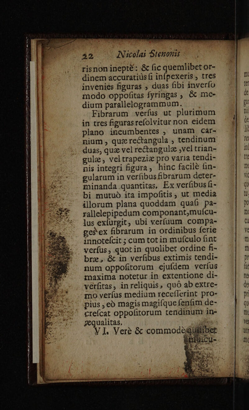 MM MH — Mn am om mage 22 Nicolai Stenonis | risnon inepté: &amp; fic quemlibet or- dinem accuratius fi infpexeris ; tres invenies figuras ; duas fibi inverío in tres figurasrefolvitur non eidem plano incumbentes , unam car- nium , quz rectangula , tendinum duas, quz vel rectapngulz ,vel trian- gulae, veltrapezizx pro varia tendi- nis integri figura, hinc facile ün- gularum in verfibus fibrarum deter- minanda quantitas, Ex verfibus f1- bi mutuó ita impofitis, ut media illorum plana quoddam quaf pa- rallelepipedum componant,muícu- lus exfurgit, ubi veríuum compa- gesex fibrarum in ordinibus ferie innoteícit ; cum tot in mufculo fint verfus, quor in quolibet ordine fi- brz, &amp; in verfibus extimis tendi- num oppofitorum ejuídem verfus imaxima notetur in extentione di- verfitas, inreliquis, quó ab extre- mo veríus medium recceílerint pro- pius , eo magis magique fenfim de- crefcat oppofitorum tendinunr in- gequalitas. jd: VI. Vere &amp; commode