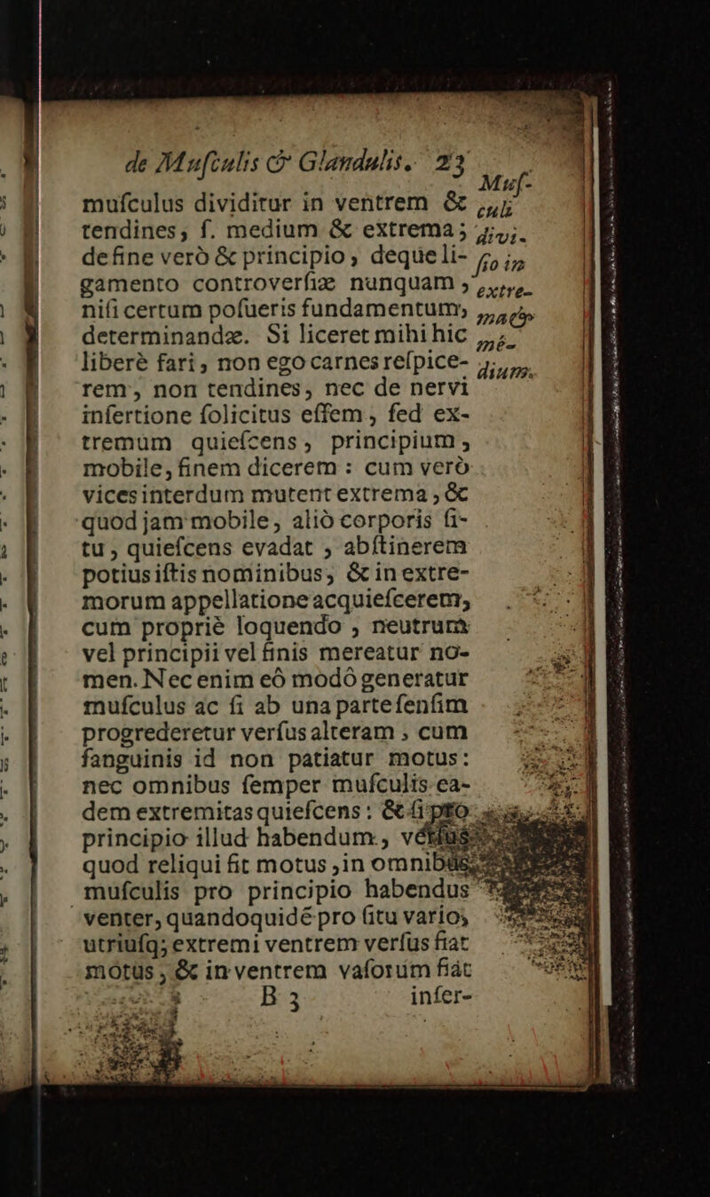 IAil- mufculus dividitur in ventrem &amp; ,,; tendines; f. medium &amp; extrema ; ;;,;. define veró &amp; principio, dequeli- fo in gamento controverfie nunquam 5... nifi certum pofueris fundamentum; 5, determinandz. Si liceret mihihic ,,;- liberé fari, non egocarnesrefpice- .;., rem, non tendines, nec de nervi infertione folicitus effem , fed ex- | tremum quieícens, principium i mobile, finem dicerem : cum veró | vicesinterdum mutent extrema , &amp; quod jam mobile, alió corporis f1- tu ; quiefcens evadat ;, abítinerem potiusiftis nominibus, &amp;inextre- morum appellatione acquiefcerenr; cum proprie loquendo , neutrurà vel principii vel inis mereatur no- men. Nec enim eó modó generatur rmufculus ac fi ab una partefenfim progrederetur verfus alteram ;, cum fanguinis id non patiatur motus: nec omnibus femper mufculis ea- dem extremitasquiefcens : &amp; ps | principio illud habendum, vétfus: quod reliqui fit motus ;in Mis CM E us venter, quandoquidé pro (itu vario; utriufg; extremi ventrem veríus fiat motus , &amp; in ventrem vaforim fiát no B3 infer- dium. A e s id