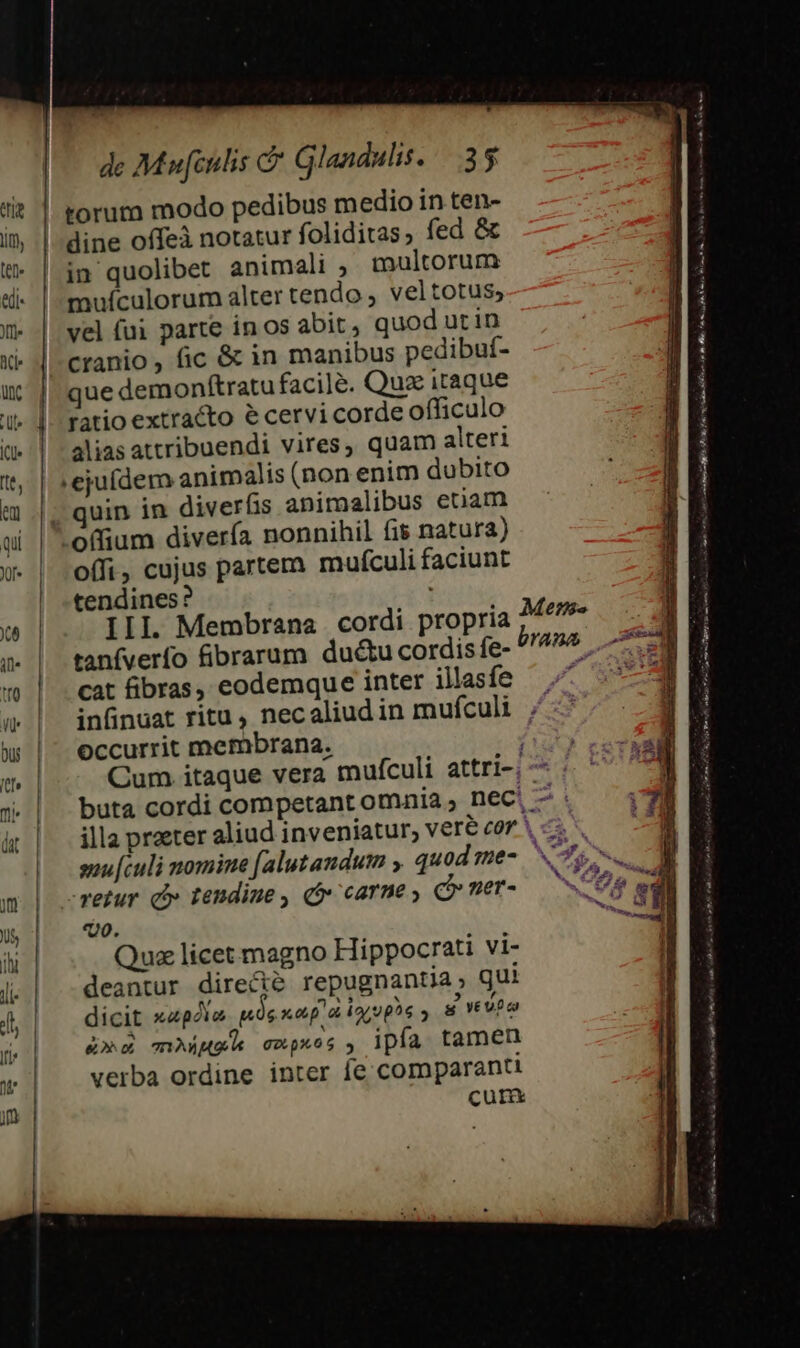 dine offeà notatur foliditas; fed &amp; in quolibet animali ,. tnultorum mufculorum alter tendo veltotus; vel fui parte in os abit , quod ut in cranio , fic &amp; in manibus pedibuí- que demonftratu facile. Quz itaque ratio extracto é cervi corde officulo alias attribuendi vires, quam alteri .eju(dem animalis (non enim dubito quin in diverfis animalibus etiam offi, cujus partem mufculi faciunt tendines ? III Membrana cordi propria tanfverío fibrarum du&amp;u cordis fe- cat fibras, eodemque inter illasíe infinuat ritu , necaliud in mufculi Occurrit membrana. ; Cum itaque vera mufculi attri-; suu [culi nomine falutandum y quod me- merur c» tendine qo» carne C» er- T0. Qua licet magno Hippocrati vi- deantur direcié repugnantia, gui dicit xapdla. uos «ag a ioiophs gvevpbo &amp;»n muet go px.6 s , ipfa tamen verba ordine inter fe comparanti cur ema to Cl Mo Jo ihe Ia n FÉ ei re tie RR. ay je