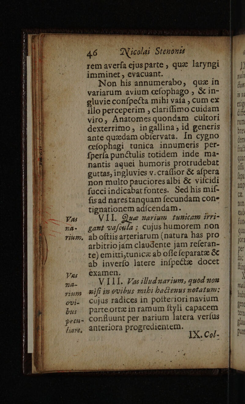 rem averfa ejus parte ; qua laryngi imminet , evacuant. Non his annumerabo, quz in variarum avium cefophago ; &amp; in- gluvie confpecta mihi vafa ; cum ex illo perceperim , clariffimo cuidam viro, Anatomesquondam cuültori dexterrimo , ingallina; id generis ante quaedam obíervata. In cygno ceíophagi tunica innumeris per- Ípería punctulis totidem inde ma- nantis aquei humoris protrudebat guttas; ingluvies v.cratfior &amp; afpera non multo paucioresalbi &amp; viícidi fucciindicabatfontes. Sedhis mif- fisad narestanquam fecundam cone tignationem adícendam. VIL. Que varium tumicam irri- gant vafoula ; cujus humorem non ab oftiis arteriarum (natura has pro arbitrio jám claudente jam referan- te) emittitunicz ab offe feparatae GC ab inverío latere infpecta docet ya; €xamen. VILI. Vas illudzuarium, quod uos sunm mifi inovibus mibi bactenus notatum: ovi. Cujus radices in poíteriori navium bus parteortacin ramum ftyli capacem $ecu-. confluunt per narium latera veríus (gre, anteriora progredientem. X. Cel- HRS [ESSE i at urge L9 V ito) ait ul im fcr enm EET 25-