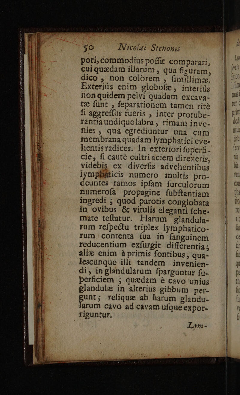 pori; commodius poffit comparari, cui quzedam illarum , qua figuram, dico , non colórem , fimillimz. Exteriüs enim globofz, interiüs non quidem pelvi quadam excava- tz funt , feparationem tamen rite 1i aggreífus fueris ; inter protube- rantiaundiquelabra, rimam inve- nies , gua egrediuntur una cum membrana quadam lymphartici eve- hentisradices. In exteriorifuperf- cie, fi caute cultri aciem direxeris, videbis ex diverüs advehenrtibus lympháticis numero multis pro- deuntes ramos ipfam ífurculorum numerofa propagine fubftantiam ingredi ; quod parotis conglobata in ovibus &amp; vitulis eleganti fche- mate teftatur. Harum glandula- rum refpectu triplex lymphatico- rum. contenta fua in fanguinem reducentium exfurgit differentia ; alix enim à primis fontibus, qua- lescunque illi tandem invenien- di, inglandularum fparguntur fu- berficiem 5; quzdam é cavo unius: glandulz in alterius gibbum per- unt; reliqua ab harum glandu- arum cavo ad cavam uíque expor- riguntur, —€— — TU e E UM ————À Lywm-