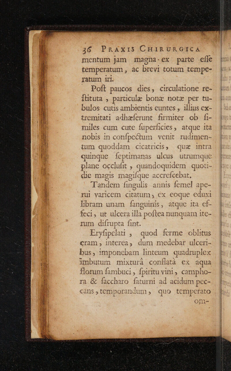 mentum Jam magna-ex parte efle temperatum , ac brevi totum tempe- ratum iri. Poft paucos dies, circulatione .qe- Ittuta particulae bonz notz per tü- bulos cutis ambientis euntes y. illius ex- tremitati adhzferunt Aes miter ob fi- miles cum cute fuperficies , atque ita nobis in confpectum venit rudimen- j libram unam fanguinis, atque ita ef- [w, L x rd dense Deu (i A aS er 1 feci, ut ulcera illa poitea nunquam 1tc- t p (? y a3 rum dirupta lint. : E PNE RITU en Eryfipelau ; quod ferme oblitus cram , interea; abr medebar ulcer adim linteum quadruplex imbutum mixtura ec ex aqua florum fambuci , Ípiritu vini, campho- ra &amp; faccharo faturni ad acidur 1 pec- cans,temporandum, quo tempefato A