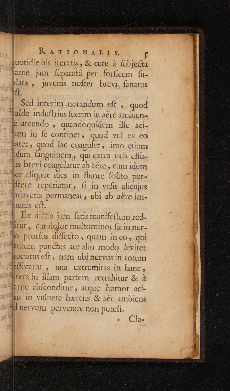| RATIONALI S. $ Ruotid:e b:s 1teratis , &amp; cute à fubjecta larne Jam feparatà per forficem íu- |Jata , juvenis nofter brevi, fanatus Wt. : Sed interim .notandum cft , quod TP arcendo , quandcquidem ille. aci- ^ * Jatet , quod lac coagulet ,. imo etiam fum fanguinem, qui cxtra vaía cflu- Iis brevi coagulatur ab àere , cum idem ; Jer aliquot dies in fluore folito per- Aflere reperiatur, Íi in vafis alicujus I Tadaveris permaneat , ubi ab aére im- ] Ex dictis jam fatis manifeftum red. or multominor fit in ner- us diflecto , quam ineo, qui KRntum punctus autalio modo leviter juc'atus eft, nam ubi nervus in totum Iflecatur , una extremitas in hanc, | in Hulam partem retrahitur &amp; à irme abfconditur , atque. humor aci- p^ (si Tus 1:1 vulnere haerens &amp; aer ambiens 2 d 1 ^7 4x * 7191 $rTC BRUST * [^ 4^. 1- £1 1 nervum pervenire non poteft. i 1 *] vld-*