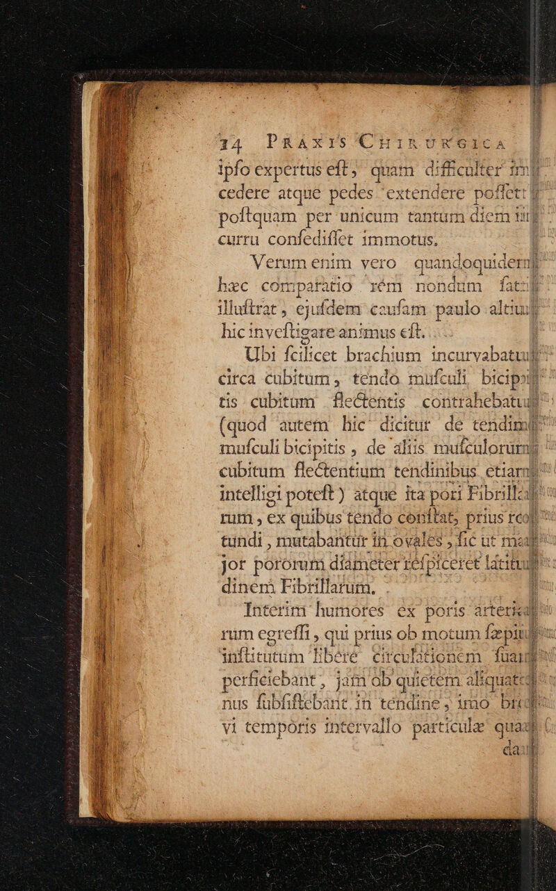 ipfo expertus eft, jj cedere atque pedes exte 1 ; poftquam per unicum tantum diem tug curru confediflet znmugde Verumenim vero quandoquidem] ^ bec comparatio réóm nondum | illuftrat , ejufdem caufam paulo altuip hic inveftügare animus eft. : Ubi fcilicet brachium. incurvabatul circa cubitum, tendo mufculi bicipot tis cubitum flectentis contrahebatud] (quod autem hic' dicitur de tendim( mufculi bicipitis , de altis ioni í cubitum flectentium tendinibus etiarn intelligi poteft ) atque ita pori ibrillalb rum, E quibus tendo Me prius re l i: tundi , mutabantur 1 in ovales fié ut ma jor pororum diameter refpiceree Laer: dinerá Fibrillarum. | j Interim humores ex poris arter rum egreffi , qui prius ob motum ifzepit inflitutum Tibere circulationem fuandt perfieiebant, jam ob qui ietem aque z nus fuübfiftebant.in tendine ; uno. bred v1 tCcmpo hog Las $ poris intervallo particu x