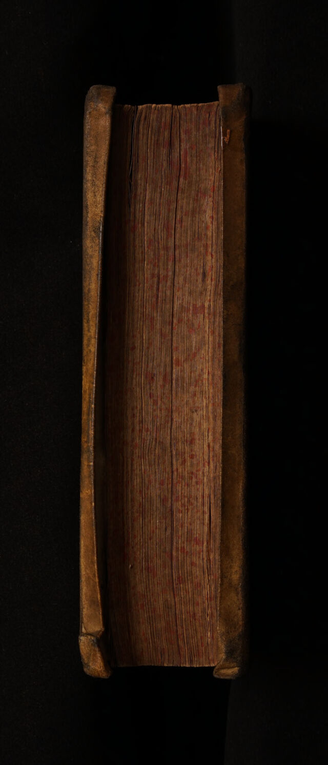 No text description is available for this image