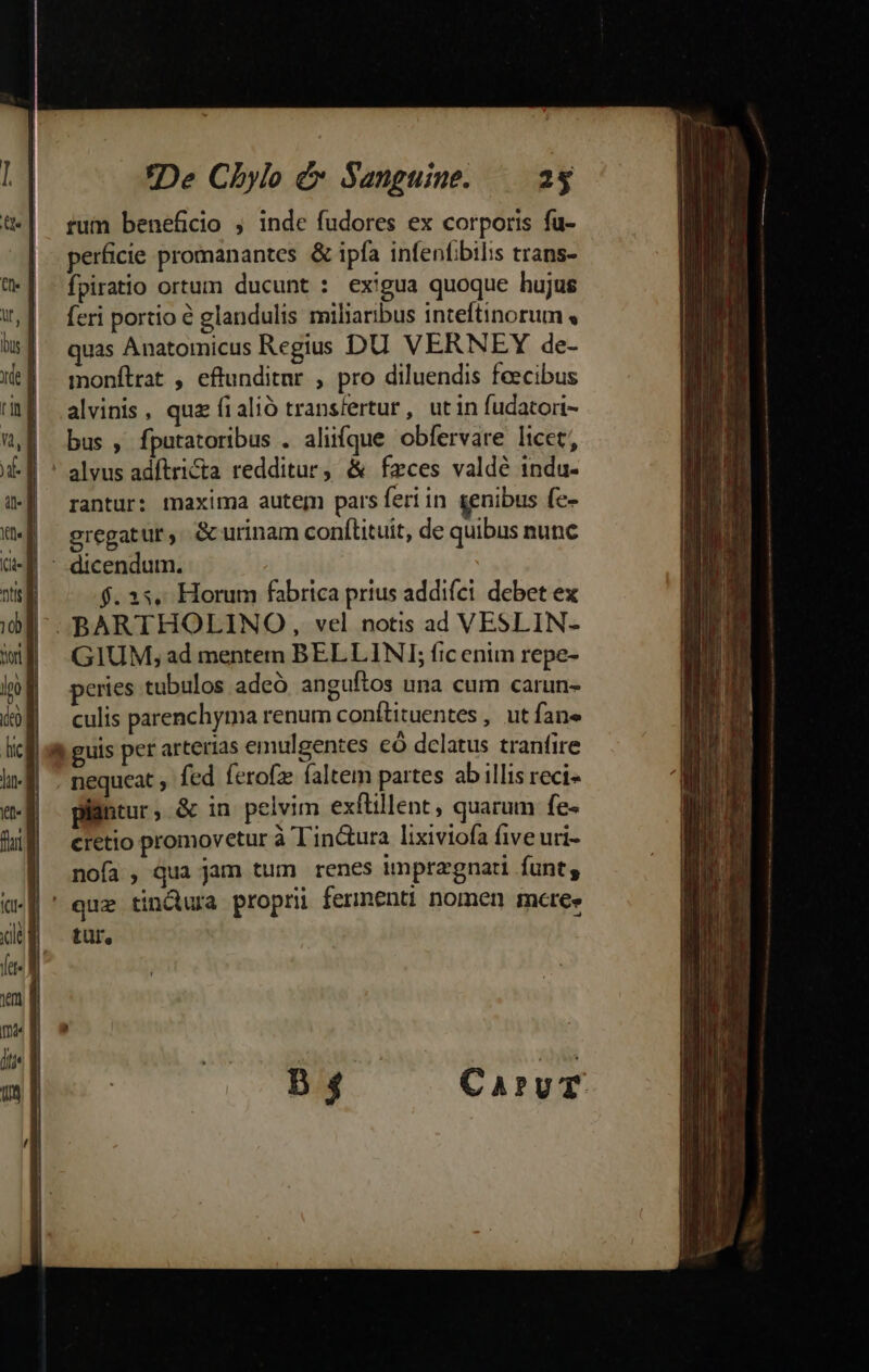 tum beneficio ; inde fudores ex corporis fu- | perficie promanantes &amp; ipfa infenfbilis trans- W-| - fpiratio ortum ducunt : exigua quoque hujus | feri portio? glandulis miliaribus inteftinorum bs | quas Anatomicus Regius DU VERNEY de- (E — monftrat , eftunditnr , pro diluendis feecibus E alvinis, quz f1 alió transfertur, utin fudatori- WE bus, fputatoribus . aliifque obfervare licet, uf ' alvus adftricta redditur &amp; fzces valdé 1ndu- rantur: maxima autem pars feri in genibus (e- gregatur . &amp; urinam conftituit, de quibus nunc : dicendum. vcl $. 33. Horum fabrica prius addiíci debet ex idf - BARTHOLINO,, vel notis ad VESLIN- Wf GIUM;ad mentem BELLINI; fic enim repe- lpo | peries tubulos adeó anguftos una cum carun- ko ^— culis parenchyma renum conflituentes , ut fane lic 9$ guis pet arterias emulgentes có delatus tranfire lf . nequeat ; fed ferofz faltem partes ab illis reci cM - plintur, &amp; in pelvim exflillent , quarum fe« hif cretio promovetur à Tin&amp;ura lixiviofa five uri- | noía, qua jam tum renes imprzgnati funt; «f ' que tindura propri ferinenti nomen mre» Jéf tur, fete Wi 2 fI s 1m | : m B $ | CarvT