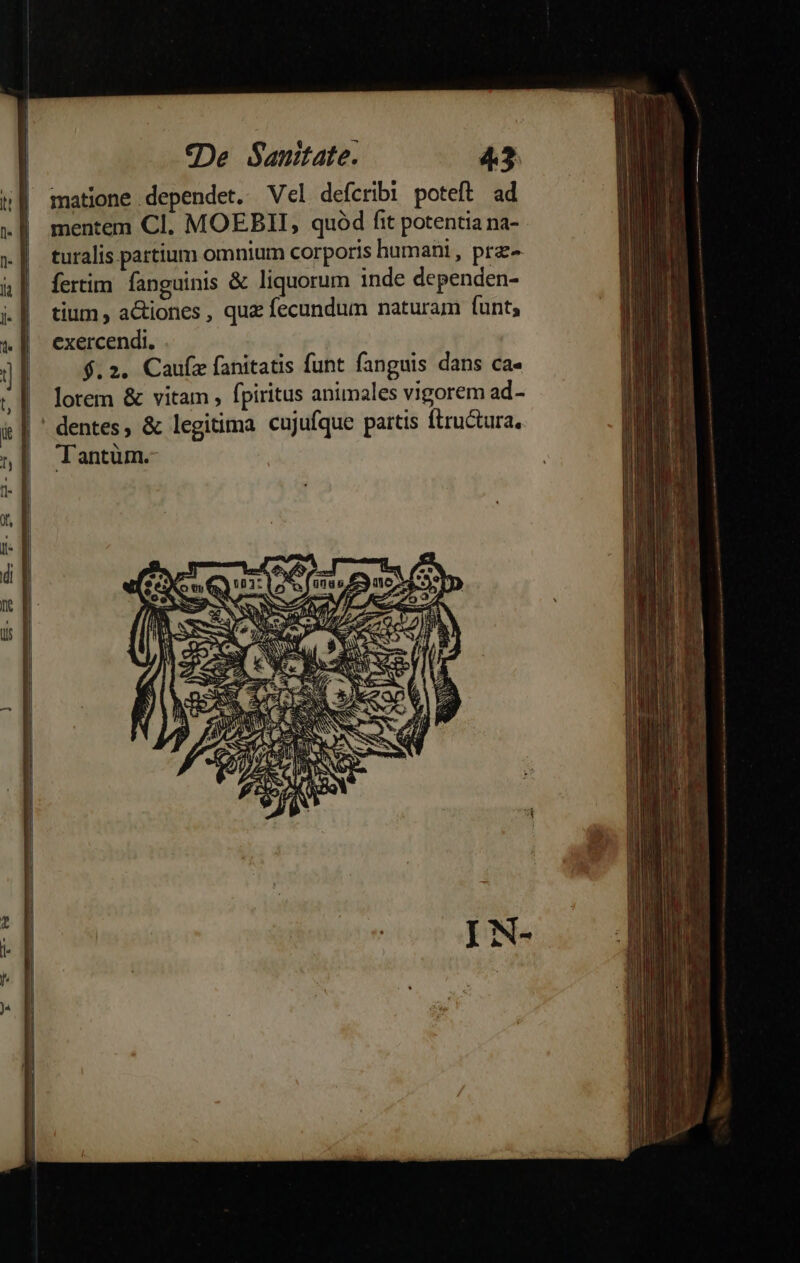 matione dependet. Vel defcribi poteft ad mentem Cl. MOEBII, quód fit potentia na- turalis partium omnium corporis humani , prz- fertim fanguinis &amp; liquorum inde dependen- tium, actiones , que fecundum naturam funt; exercendi. . $.2. Caufz fanitatis funt fanguis dans ca- lorem &amp; vitam , fpiritus animales vigorem ad- ' dentes, &amp; legitima cujufque partis ftru&amp;tura. Tantüm.