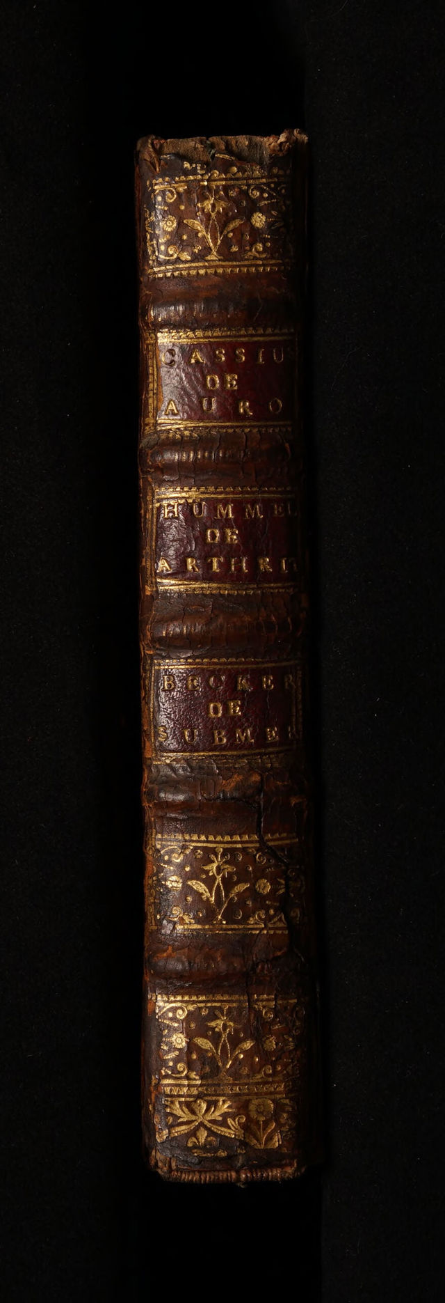 digitised image 2