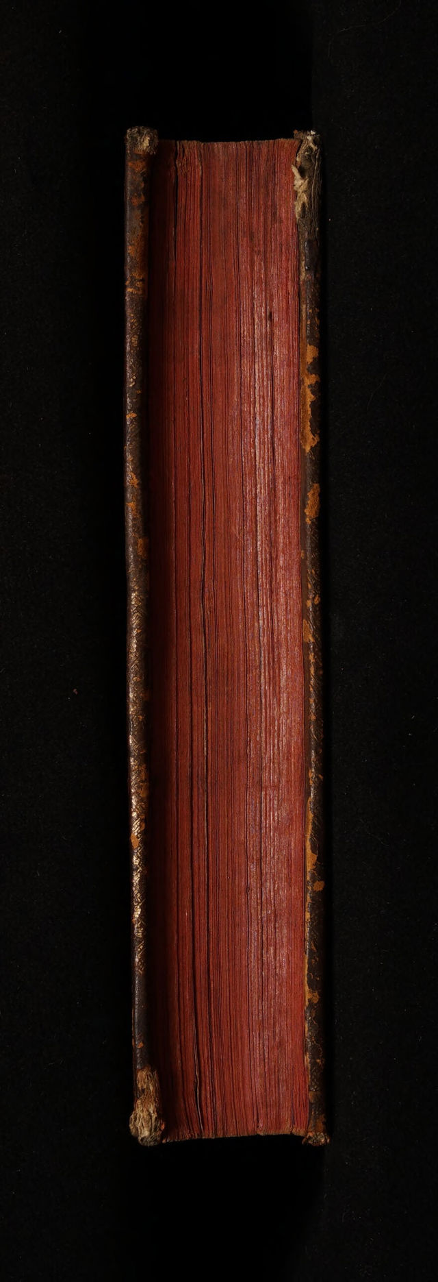 digitised image 3
