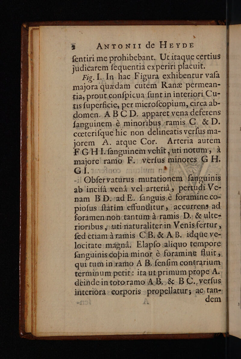 EIxieci rcu MED c A M MEE EIE fentiri me prohibebant. Ut itaque certius judicarem fequentia experiri placuit. Fig. l.In hac Figura exhibentur vafa | majora quedam cutem Kanz permcean- [| tia, prout confpicua funt in interiori Cu- | tis fuperficie, per microfcopium, circa ab- | domen. A B C D. apparet vena deferens | fanguinem.6&amp; minoribus ;ramis. C. &amp; D. ceeterifque hic non delineatis verfus ma- jorem A. atque Cor. Arteria autem F.GH I. fanguinem vehit , uti notum; à | majore ranio: F.. verfus minores, G H. i| Obfervatürus. mutationem fangüinis | ab incifá vená vel arterià, pertudiVe- | nam B D::ad E. fanguis;é foramine co- | piofus ftatim: effunditur accurrens. ad forámennoh-tantum à.ramis D. &amp; ulte- rioribus ;:uti-raturaliterin Venisfertur , | fed ctiam.àramis. C.B. &amp; A. B. idqüe ve- | locitate:magná. Elapfo:aliquo tempore | fanguiniscopia minor à foramine fluit. | qui tum in rarno A B. fenfim contrarium | terminum petit: itaut primum prope A. | deindeintororamo A.B... &amp; B C., verfus | interiora : corporis - propellatur; ac: Eus - À em | *