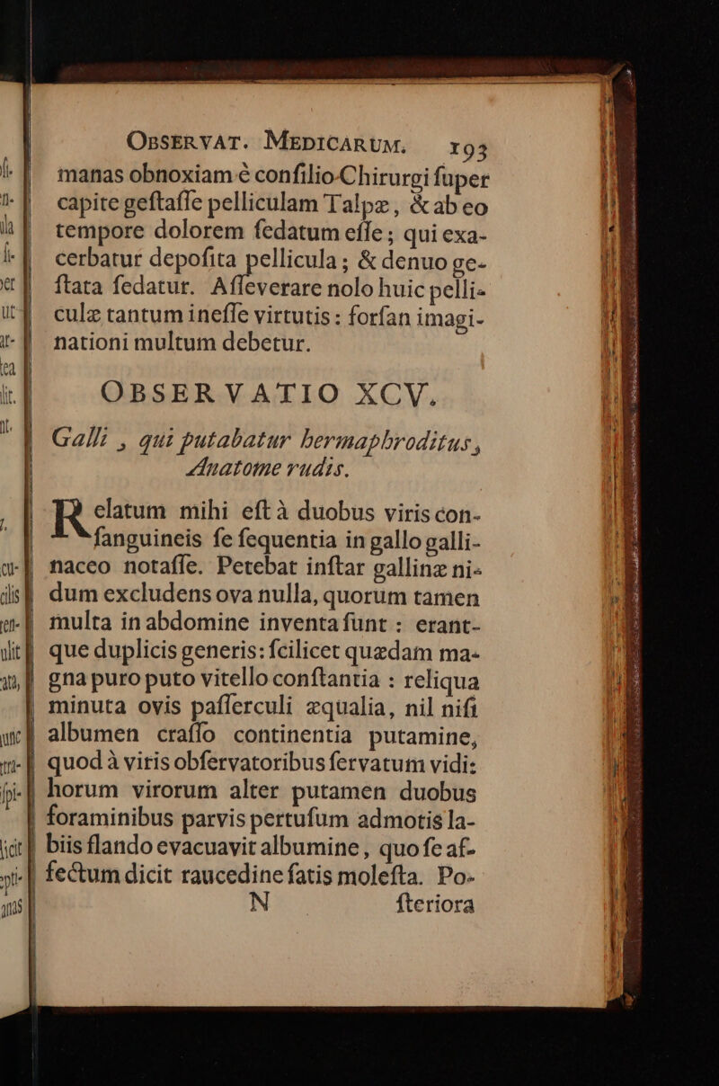 manas obnoxiam € confilio -Chirurgi fuper capite geftafe pelliculam Talpz, &ab eo tempore dolorem fedatum effe ; qui exa- cerbatur depofita pellicula; & denuo ge- ftata fedatur. Affeverare nolo huic pelli« culz tantum inefle virtutis : forfan imagi- nationi multum debetur. OBSERVATIO XCV, Galli , qui putabatur bermapbroditus, dnatotne rudis. R dtum mihi eftà duobus viris con- fanguineis fe fequentia in gallo galli- naceo notafle. Petebat inftar gallinz ni- dum excludens ova nulla, quorum tamen que duplicis generis: fcilicet quedam ma- gna puro puto vitello conftantia : reliqua | minuta ovis paflerculi zqualia, nil nifi albumen craffo continentia putamine, .| quodà viris obfervatoribus fervatum vidi: horum virorum alter putamen duobus | foraminibus parvis pertufum admotis la- biis flando evacuavit albumine , quo fe af- N fteriora