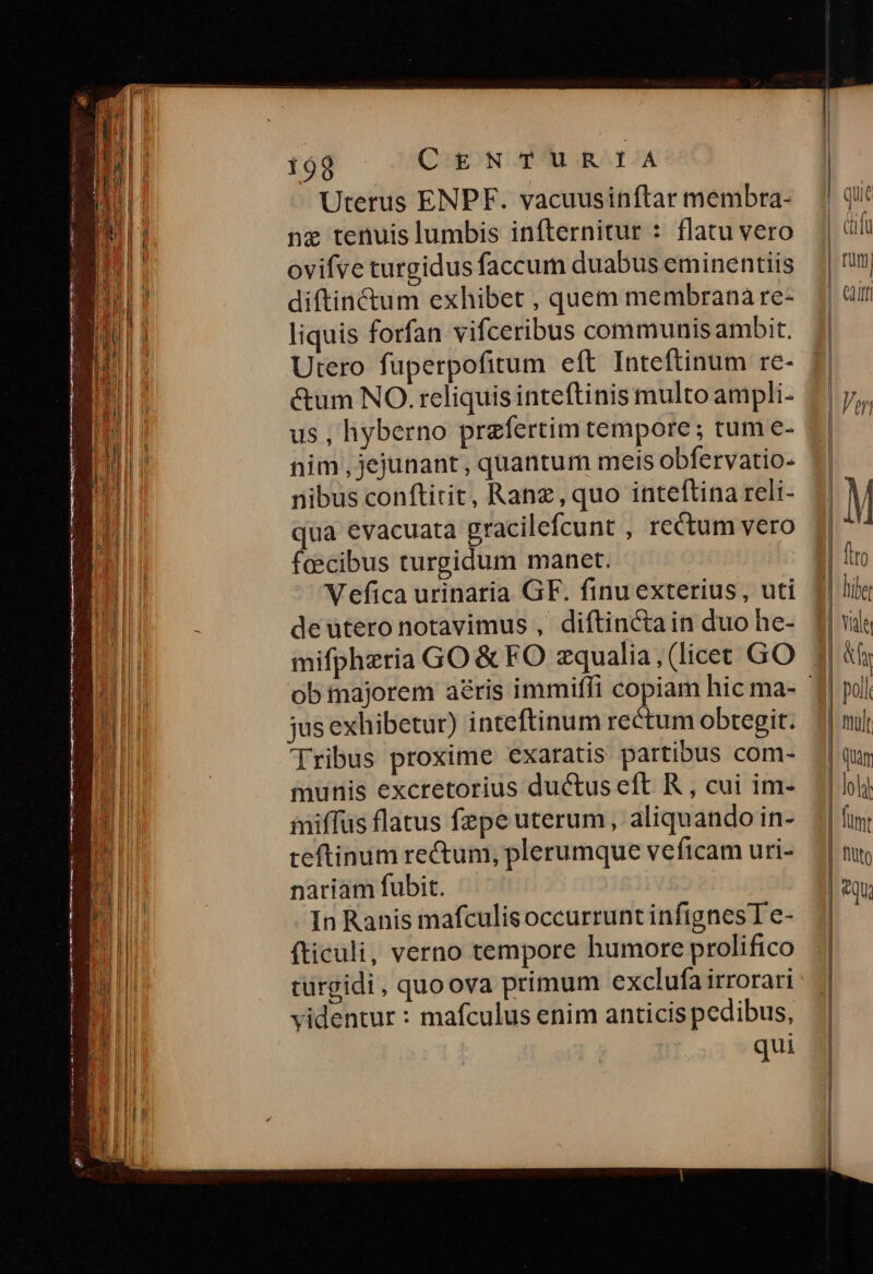 Uterus ENPF. vacuusinftar membra- iM ng tenuis lumbis infternitur : flatu vero n ovifve turgidus faccum duabus eminentiis UE diftin&um exhibet , quem membrana re- EB liquis forfan vifceribus communisambit. E Utero fuperpofitum eft Inteftinum re- E &um NO. reliquis inteftinis multo ampli- j| h I us, hyberno praefertim tempore ; tum e- i nim ,jejunant, quantum meis obfervatio- nibus conftitit, Ranz, quo inteftina reli- qua evacuata gracilefcunt , rectum vero fcecibus turgidum manet. V efica urinaria GF. finu exterius, uti deuteronotavimus , diftin&ain duo he- mifphzria GO & FO zqualia, (licec GO B jusexhibetur) inteftinum rectum obtegit. | Tribus proxime exaratis partibus com- 4 munis excretorius ductus eft R , cui im- u miffus flatus fzpe uterum, aliquando in- h ceftinum rectum, plerumque veficam uri- | nariam fubit. In Ranis mafculisoccurrunt infignes T e- MI fticuli, verno tempore humore prolifico : MI türgidi, quoova primum exclufa irrorari 1l videntur : mafculus enim anticis pedibus, :Aii qui mQ———————— ——— — (—— —Ó(ÓÓ——M————————— E c EE - -—d
