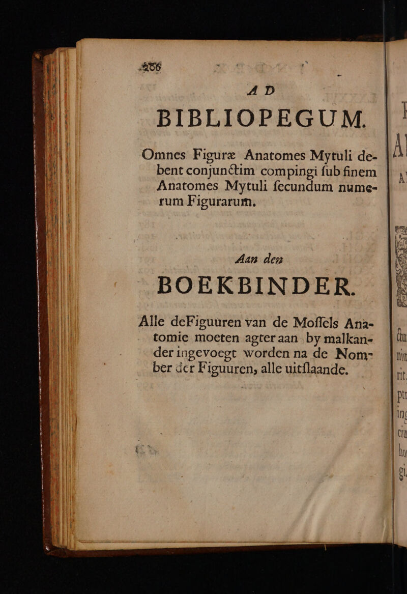 AD | BIBLIOPEGUM. | ' Omnes Figure Anatomes Mytuli de- À bent conjunctim compingi fub finem A Anatomes Mytuli fecundum nume- | rum Figurarum. | W Aan dea | BOEKBINDER. |: Alle deFiguuren van de Moflels Ana-. tomie moeten agteraan by malkan- | i deringevoegt wordenna de Nom- |i ber dcr Figuuren, alle uitílaande.