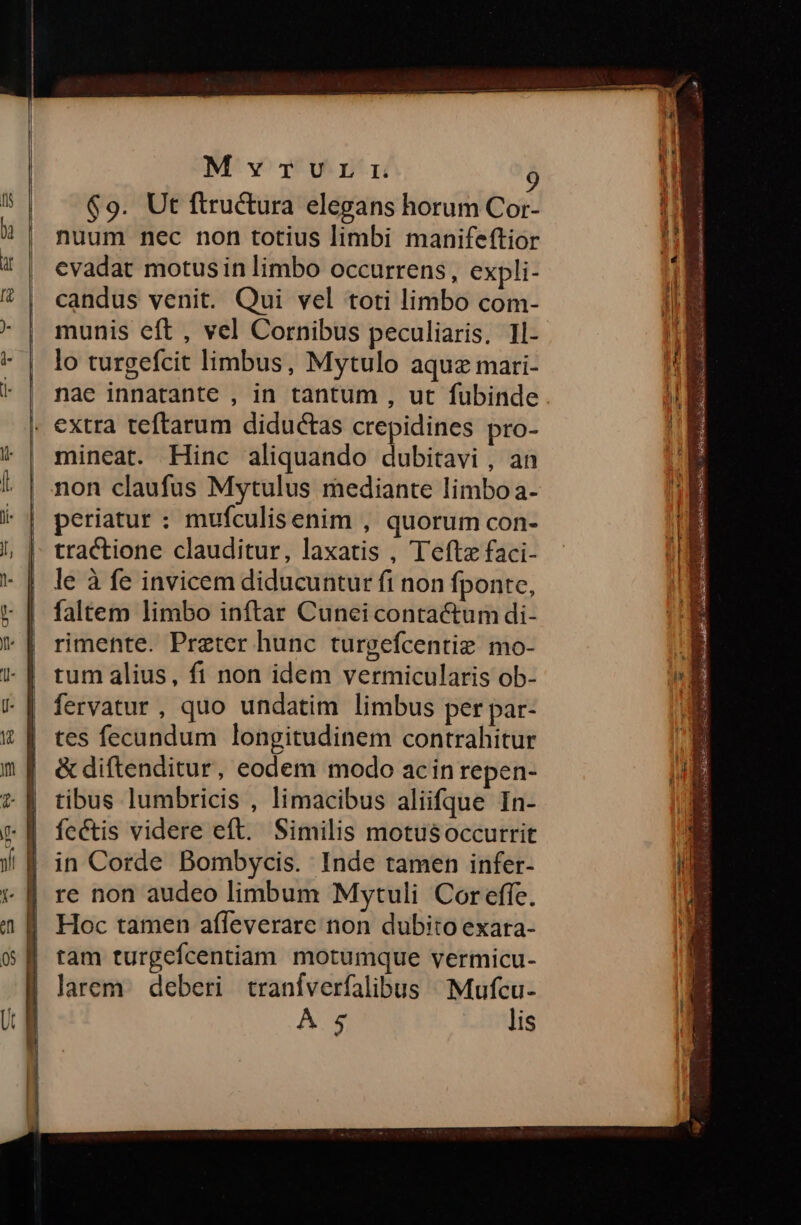MvrTULrrL 9 $9. Ut ftructura elegans horum Cor- nuum nec non totius limbi manifeftior evadat motus in limbo occurrens, expli- candus venit. Qui vel toti limbo com- munis eft , vel Cornibus peculiaris, Il- lo turgefcit limbus, Mytulo aquz mari- extra teftarum diductas crepidines pro- mineat. Hinc aliquando dubitavi , an non claufus Mytulus mediante limbo a- periatur : mufculisenim , quorum con- tractione clauditur, laxatis , Tefte faci- le à fe invicem diducuntur fi non fponte, faltem limbo inftar Cuneicontactum di- rimente. Praeter hunc turgefcentie. mo- tum alius, fi non idem vermicularis ob- fervatur , quo undatim limbus per par- tes fecundum longitudinem contrahitur & diftenditur, eodem modo acin repen- tibus lumbricis , limacibus aliifque In- fcétis videre eft. Similis motusoccurrit in Corde Bombycis. Inde tamen infer- re non audeo limbum Mytuli Coreffe. Hoc tamen affeverare non dubito exara- tam turgefcentiam motumque vermicu- larem. deberi tranfverfalibus Mufcu- Á 5 lis