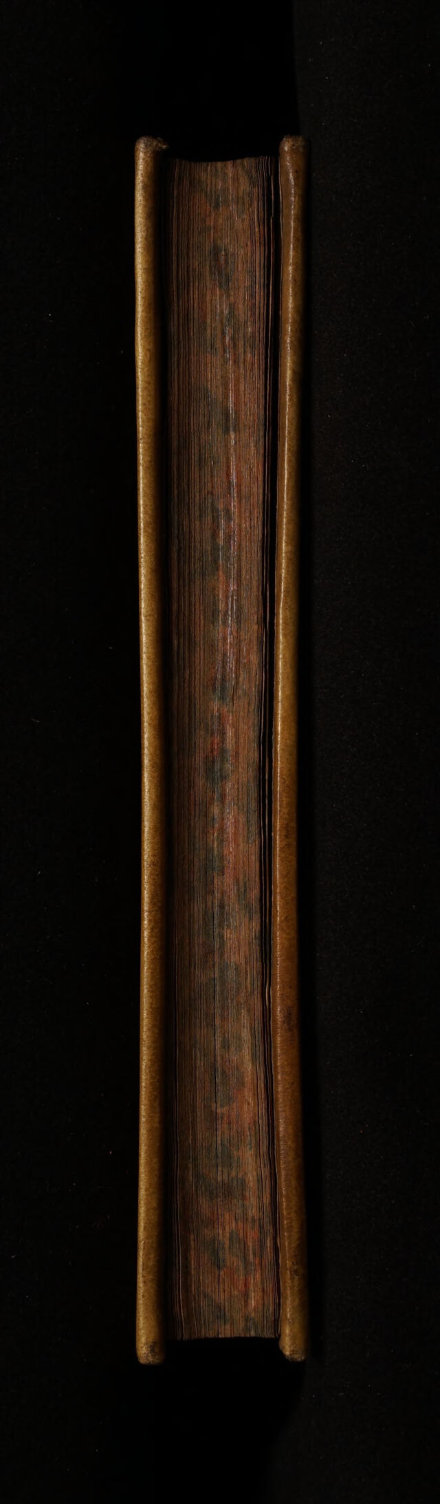 No text description is available for this image