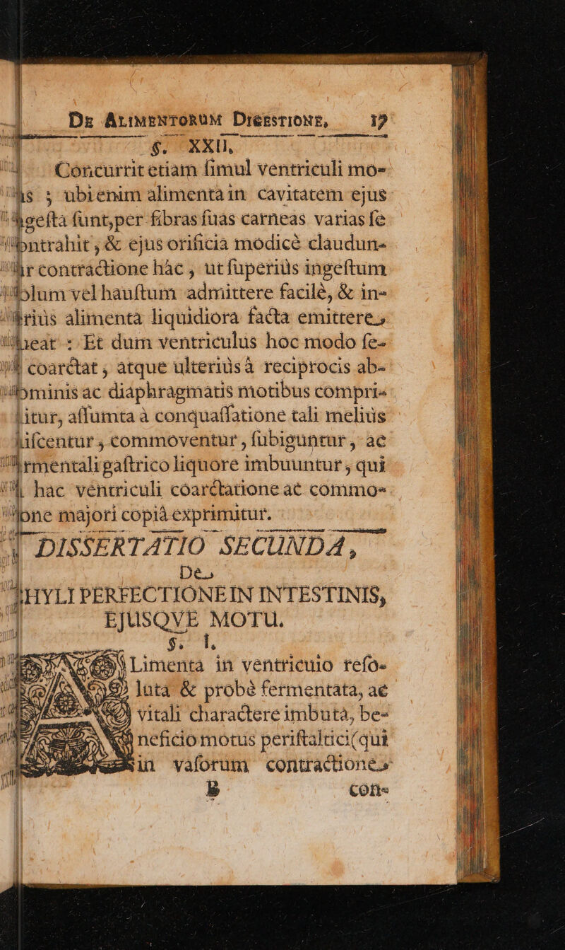 od Munere uei eua cans — 1 $. XXII, Concurrit etiam fimul ventriculi mo- hs 5 ubienim alimentain cavitatem ejus gefta funt;per ibnm fuas carneas varias fe li:bntrahit ; &amp; ejus orificia modicé claudun- E n ionoifidóne hàc , utfüperius ingeftum Qu uiblum velhauftum admittere facile, &amp; in- J/üriüs alimenta liquidiora facta emittere, cheat : Et dum ventriculus hoc modo fe- ifi coarctat ; atque ulteriisà reciprocis ab- bminis ac diaphragmatis motibus compris litur, affumta à conquaffatione tali melius lifcentür ; commoventur , fubiguntur ,- ae Semenráli paftricoliquore imbuaitur: ; qui  hac ventriculi coarctatione at commos. lone majori copide: exprimitur : ntur Re poa Ure nuage — cmsemepeiii ritieni | DISSERTATI TIO SE CUNDA, » DES | di PERFECTIONEIN INTESTINIS, 1 EJUSQVE MOTU. | 571, AC in ventricuio refo- 335 luta &amp; probe fermentata, ae d NO vitali charadtereimbuta, be- NX neficio motus per aftaktici(qui Bin vaforum contracüone 5 COft« —