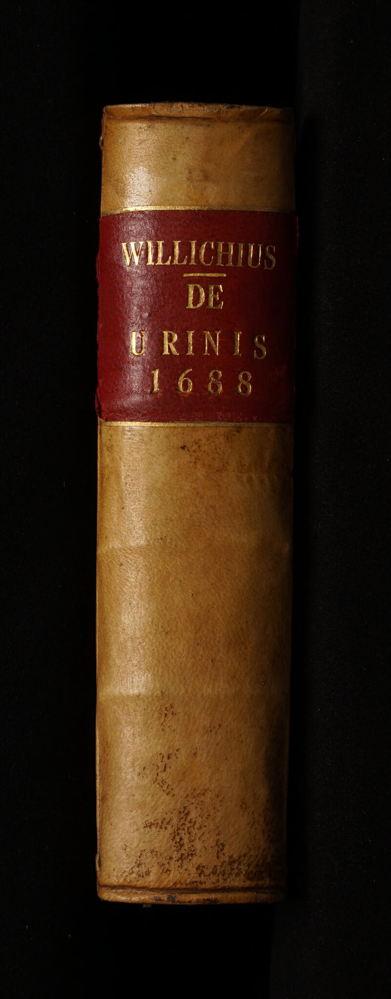 No text description is available for this image