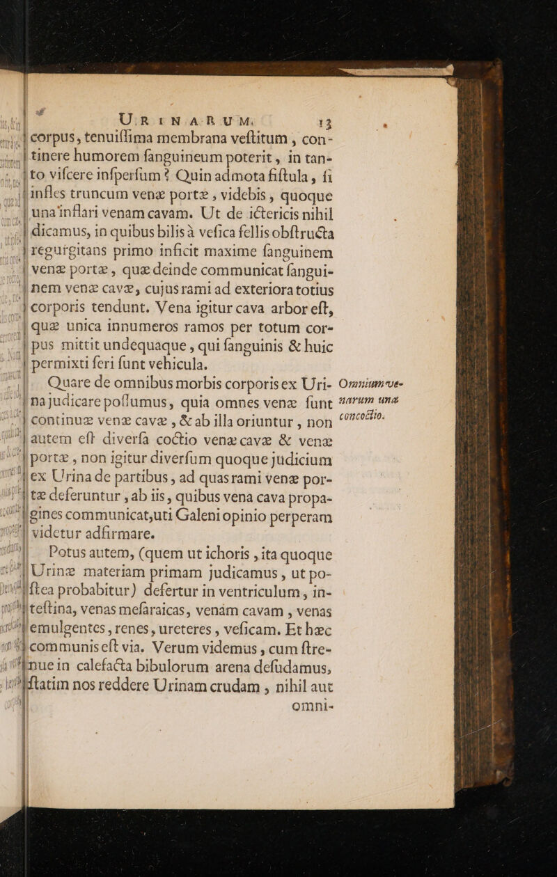 aT URrNARUM. 12 ^), ] corpus, tenuiflima membrana veflitum , con- 454] tinere humorem fanguineum poterit , in tan- ;. [to vifcere infperfum ? Quin admota fiftula, fi |f infles truncum venz portz , videbis , quoque -.., | una inflari venam cavam. Ut de ictericis nihil | dicamus, in quibus bilisà vefica fellis obftructa .] regurgitans primo inficit maxime fanguinem | venz portz , quz deinde communicat fangui- | nem venz cavz; cujusrami ad exteriora totius ..| corporis tendunt. Vena igitur cava arbor eft, | quz unica innumeros ramos per totum cor- | pus mittit undequaque , qui fanguinis &amp; huic ^J permixti feri funt vehicula. 4|. Quare de omnibus morbis corporis ex Uri- ^| najudicare poffumus, quia omnes venz funt ^| continuz venz cavz , &amp;ab illa oriuntur , non ] autem eft diverfa co&amp;io vene cave &amp; venz Iportz , non igitur diverfum quoque jüdicium J|ex Urina de partibus , ad quasrami veng por- ! jte deferuntur , ab iis , quibus vena cava propa- gines communicat;uti Galeni opinio perperam 1 videtur adfirmare. T]. Potusautem, (quem ut ichoris , ita quoque v Urine materiam primam judicamus , ut po- t Mea probabitur) defertur in ventriculum, in- m ^i teftina, venas mefaraicas, venám cavam , venas /emulgentes, renes , ureteres , veficam. Et haec 143 communiseft via. Verum videmus , cum ftre- i'[nuein calefacta bibulorum arena defüdamus, In? ftatim nos reddere Urinam crudam , nihil auc | omni- Omni ves auarum und conco&amp;ito.