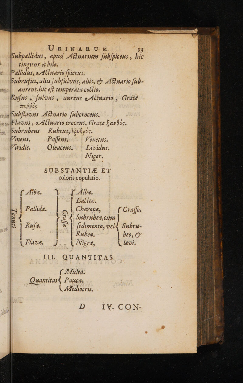 URINARU ik. bubpallidu, apud Allnarium fubfpiceus , bic | tingitur à bile. IPallidas, ed Cluario o Jpiceus. | bubrufus, alis [abfuluns, alis, c Anuario fub- aurens hic eff temperata cottio. Rufus , faluus , amreus e-dtinario , Grace e^ Jos adaibubflavus Ainario fubcrocens. «wil Flaums , eA dElnarto croceus, Grace £awtds. baubrubeus — Rubeus, $oulipos. VVineus. Paffeus. Venetus. Viridis. Oleaceus. |. Lavidus. JINi iger. SUBSTANTIAE ET coloris copulatio. fb. Ur ila. | | | Iatiee. —o 5 i3 | Pallide. c, i Charopa, ( Cra[jo. * 4 $8 4 Subrubee,cum | R ue |I | Rafa. &' [| fedimento, vel Subru- | Rubee, | beo, ci LPlave. — ). . VVigra, A evi. III. QUANTITAS ( ^4ulta. Quantitasq Pauca. K ZZediocris. D. 1Y.CQX