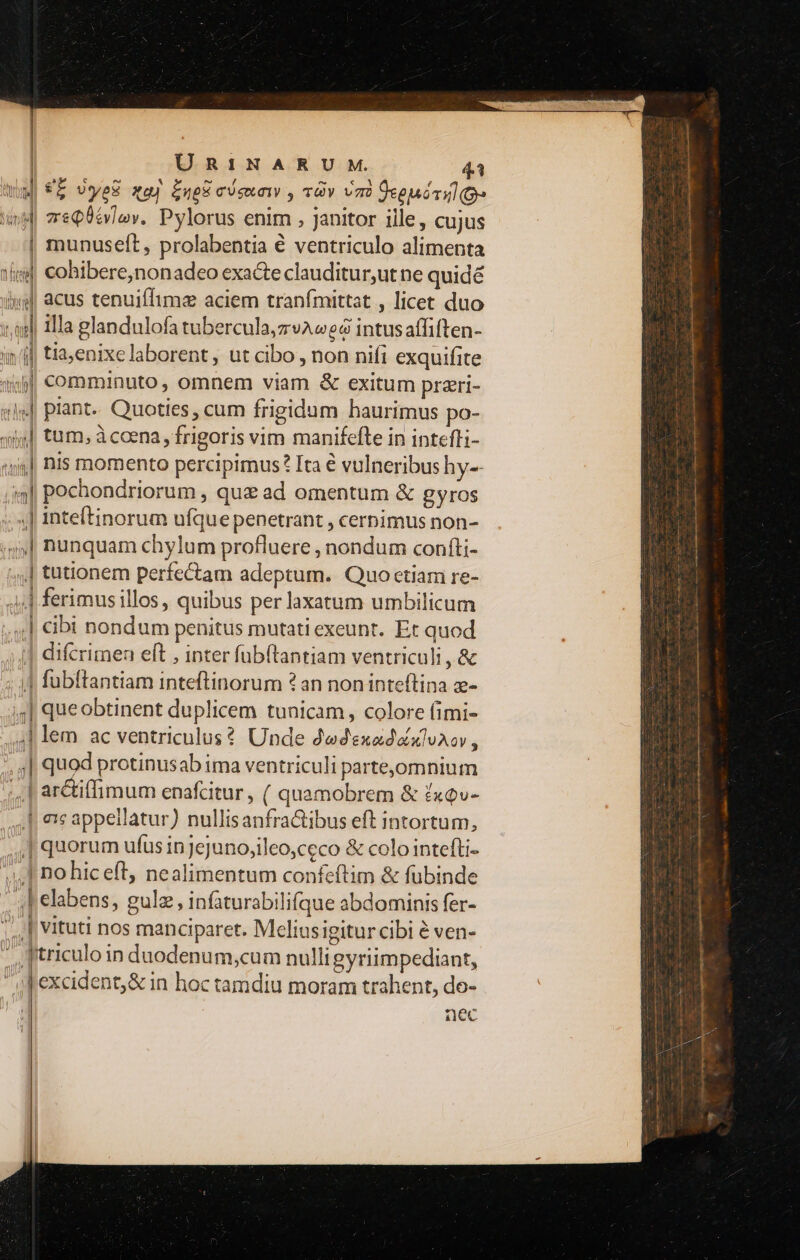 ÜURINARU M. 41 VÍ UyeH xq) Lupücisun , T» Vm Ucopóul zsQ0cvlov. Pylorus enim , janitor ille, cujus munuseít, prolabentia € ventriculo alimenta cohibere,nonadeo exacte clauditur,ut ne quidé acus tenuiífimz aciem tranfmittat , licet duo th. d in 3 a ul  1 j (nq d :| mn dd 4 13 gl f a |: 4 tum, àcoena, frigoris vim manifefte in intefli- nis momento percipimus? Ita € vulneribus hy-- pochondriorum , quz ad omentum &amp; gyros inteftinorum ufque penetrant , cernimus non- nunquam chylum profluere , nondum confti- tutionem perfectam adeptum. Quo etiam re- ferimus illos, quibus per laxatum umbilicum cibi nondum penitus mutati exeunt. Et quod difcrimen eft , inter fubftantiam ventriculi , &amp; fubítantiam inteftinorum ? an noninteflina z- queobtinent duplicem tunicam, colore fimi- lem ac ventriculus? Unde dedexadéxlvAcv , quod protinusab ima ventriculi parte,omnium arctiffimum enafcitur, ( quamobrem &amp; £xqv- la 8 il (T 0r d a ] ] 11 'g9 vv I 4 quorum ufus inJejuno,ileo,ceco &amp; colo intefti- no hic eft nealimentum confeftim &amp; fubinde elabens, gulz, infaturabilifque abdominis fer- vituti nos manciparet. Meliusigitur cibi é ven- excident,&amp; in hoc tamdiu moram trahent, do- aec N CE EE Em n e— RETO cuml ol s i —— d d ome —— -— - irre ue maar wies n PIN Dru tipa etinm m - ic E x AN
