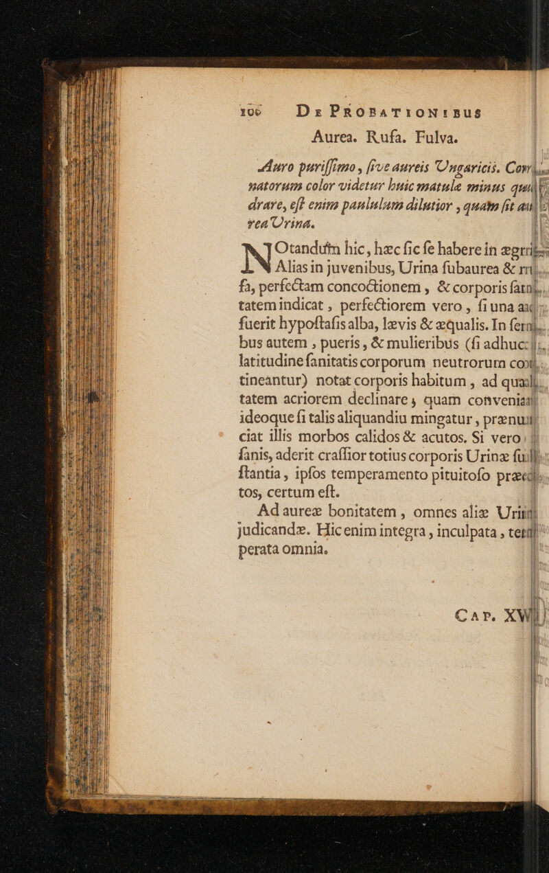 Dr PRORAT:ON!'5BUüS Aurea. Rufa. Fulva. Jhuvo puril[imo , [fve aureis Ungaricis. Corus satorum color videtur buic matule minus qui. drare, eff enim paululum dilutior , quam fst au] ftA'Urina. 1 Otandifim hic, hzc fic fe habere in egeris Alias in Juvenibus, Urina fubaurea &amp; rij... fà, perfectam conco&amp;tionem , &amp; corporis fatnj,, tatem indicat , perfectiorem vero , fi1una aid; fuerit hypoftafis alba, levis &amp; aequalis. In fera]. bus autem , pueris , &amp; mulieribus (fi adhuc:jj;, latitudine fanitatis corporum neutrorurm cob. Gneantur) notat corporis habitum , ad qual... tatem acriorem declinare quam conveniat ideoque fi talis aliquandiu mingatur , prenustj ciat illis morbos calidos &amp; acutos. Si vero: || fanis, aderit craffior totius corporis Urinz fuifie flantia , ipfos temperamento pituitofo pra«dl:. tos, certum eft. | Adaurez bonitatem , omnes alix» riri judicandz. Hic enim integra , inculpata , tti  perata omnia. | Car. XWIJ