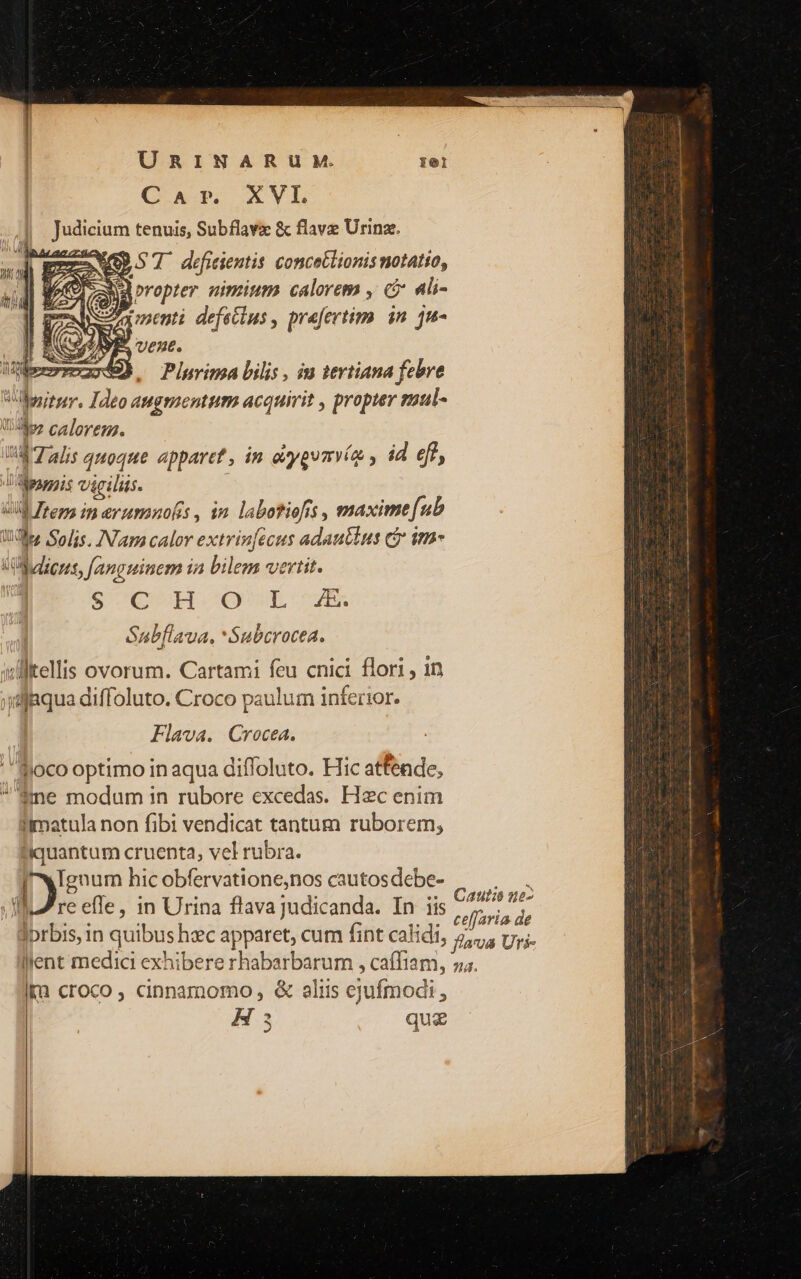 C AP. XVL | poyeam tenuis, Subflavz &amp; flavz Urinz. d EERSNGRST difitientis concetlionis notatio, Med propter wimitm . calorem , c ali- X UB defectus , praefertim in ju- deremo49h Plurima bilis , ia tertiana febre M m Ideo augmentum acquirit , propter vaul- uL calorem. 1 Talis quoque apparet, in avypumía , id eft, E ZI vigiliis. x dre; in eyumnofis , in labotiof $5, maxime [ub IB Solis, INNam calor extrin[ecus adauclus ct im UB icus, fanguinem ia bilem vertit. $C H-O'-L-E ! Subflava, Subcrocea. wüllitellis ovorum. Cartami feu cnici flori , 1n jdjaqua diffoluto. Croco paulum inferior. Flava. Crocea. ' ioco optimo in aqua diffoluto. Hic atfende, ime modum in rubore excedas. Hzc enim imatula non fibi vendicat tantum ruborem, quantum cruenta, vel rubra. enum hic obfervatione,nos cautosdebe- re effe, in Urina flava judicanda. In iis | foe in quibus hec apparet, cum fint calidi, 5, Ka croco , cinnamomo,, &amp; aliis ejufmodi, H quz A : —— RA — N N : X 3N &amp; icrerurcpee qun vec aceite omiies e Ern i rr i T i ra