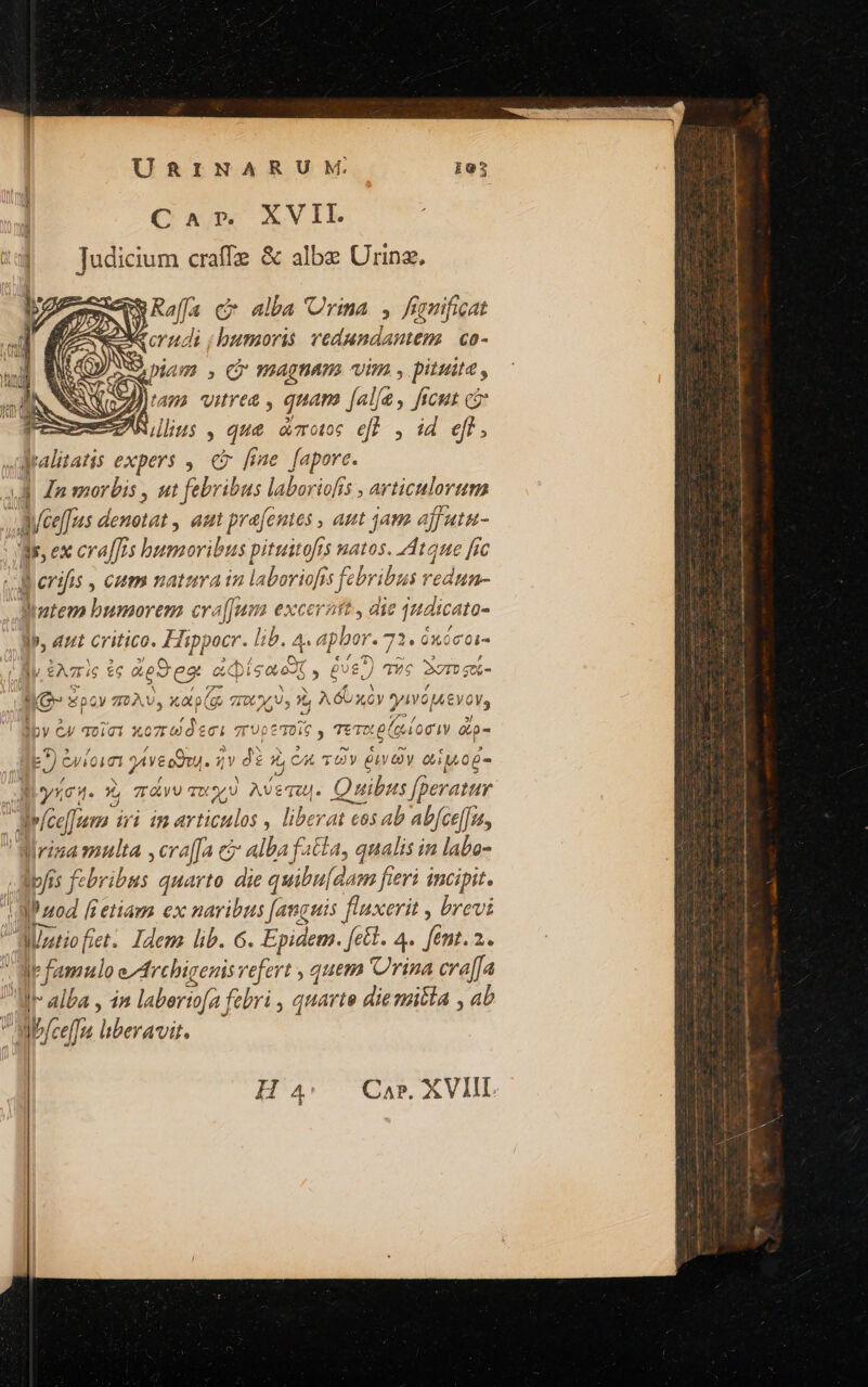 ] Ca» XVII. $ Judicium craffe &amp; albe Urinz, p RT SE ^ 4] ^ DU d i o alfa Urina : pv piam , C AQUA vim , pituite , xJ)tama vitrea , quam [al/e, freut ci cx Alius, qu&amp; aote eff , id ef, Malitatis expers ,. c [ie [apore. jJ In morbis , ut febribus laboriofis , articulovtama 1 : s denotat , aut Brefefieno , Att jam affutu- Ws, ex cralJrs humoribus pituitofs natos. tae fic b erifis , eum natura inla iboriofss febribus ; redun- Vatem [CUTEM eraf[um excerat , die 4udicato- Bb, eut critico. Hippocr. lib. 4. aphor. 73. ónccoi- ; ao R Ó 82) TY 2r gtk-  Bl eA7r:6 £6 «eS es ec ig | «Kg» soy 7»ÀV, Xa (gp TT x /U, 1; AGU xy yojA8Y oV, y C4 TOi C1 x07 d 671 : 7rUp dim » Tevpl og dip | dE) c CJ10101 yv. qv di Xx,Cu TOV Qv Qi 0Ó- M yrci. x TrÀVU TX PU AVeTZU. Quibus [geratur diee um iri in articulos , liberat cos ab abfce[[u, lirina multa ,cra[[a c? alba f4&amp;1a, qnalis in labo- lpfss fzbribus quarto 5 quibuf. (dam fieri incipit. T fi etiam ex naribus [anguis fluxerit , brevi aMUntiofiet. Idem lib. 6. Epidem. fel. 4. fent. 2. l' b famulo edicion refert , quem Unis cra[fa li alba , in laberiofa febri , quarte die mitta , ab ab/ceffa liberavit. H4' Car. XVIIL