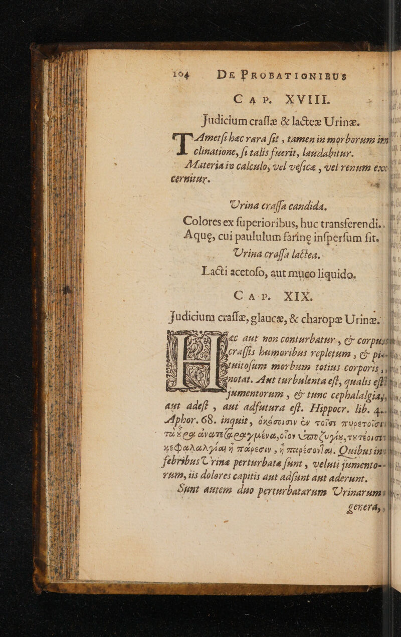 CAr. XVIIL Judicium craffz & la&ez Urinz. Tf, Ü : T e ft talis fuerit, laudabitur. Comum. ems Crina erafja candida. Colores ex fü perioribus, huc transferendi. Aque, cui paululum farine infperfum fit. Urina cra[[a lattea. Lai acetofo, aut mueo liquido. (CA XIX. D A e 1 1 M dpbor. 68. inquit, éxáevinw &y voie 7'VbeTOICHÀ T» E eor Va eor iva, toy UASUU AB, TE TEOITTÀ xe aAaA Aa y Trop6otY i vr péroVlag. Quibusim febribus C'rina perturbata funt , veluti jmento-- VIUB, i$ dolores capitis aut adfaat aut aderunt. óunt auteus duo perturbatarum Urinarumi UE | £eterá, , l de m M i LJ H, I