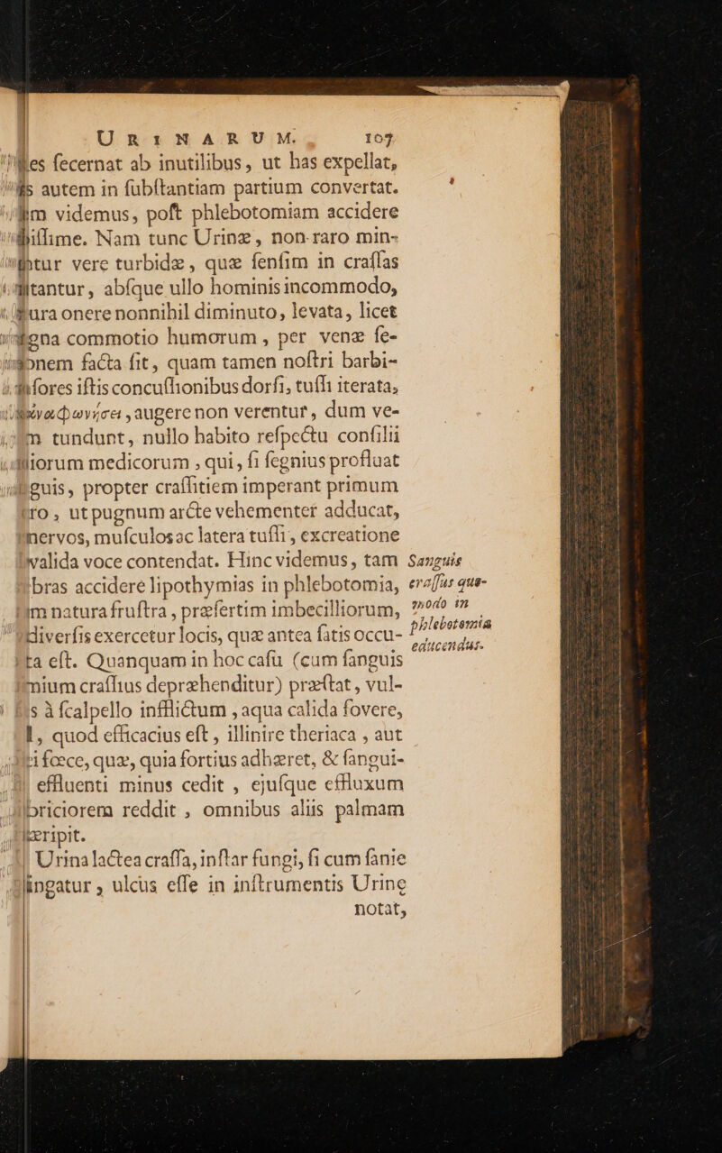 Un :2NHARU M. 1603 'l«Mes fecernat ab inutilibus, ut has expellat, !/is autem in fubítantiam partium convertat. '/lim videmus, poft phlebotomiam accidere wiiffime. Nam tunc Urinz, non raro min- Bitur vere turbidz , que fenfim in craflas 'ditantur, abfque ullo hominis incommodo, i ÜBura onere nonnihil diminuto, levata, licet «gna commotio humorum, per vene fe- inem facta fit, quam tamen noftri barbi- i. S-fores iftis concufhionibus dorfi, tuffi iterata; (live. cbevirer , augere non verentur, dum ve- fm tundunt, nullo habito refpe&amp;tu confilii .dlliorum medicorum ; qui , fi fegnius profluat ufiguis, propter crafhtiem imperant primum ro, utpugnum arcte vehementer adducat, nervos, mufculosac latera tufli, excreatione ivalida voce contendat. Hinc videmus, tam Sanguis bras accidere lipothymias in phlebotomia, eraffus que- im natura fruftra , prefertim imbecilliorum, 94? * Hiverfis exercetur locis, qua antea fatis occu- ? or Fa eft. Quanquam in hoc cafu (cum fanguis TE mium craíTius deprehenditur) prata , vul- ! Bis à fcalpello inffli&amp;um , aqua calida fovere, 1, quod efficacius eft , illinire theriaca , aut ti foece, quz, quia fortius adhzret, &amp; fangui- Mj effluenti minus cedit , ejuíque effluxum Jilbriciorem reddit , omnibus aliis palmam peripit. Urina lactea craffa, inftar fungi, fi cum fanie ingatur ; ulcus effe in inftrumentis Urine notat, s.